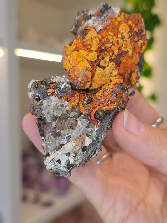 Hemimorphite, Smithsonite with Goethite Specimen Santa Eulalia, Chihuahua, Mexico - F