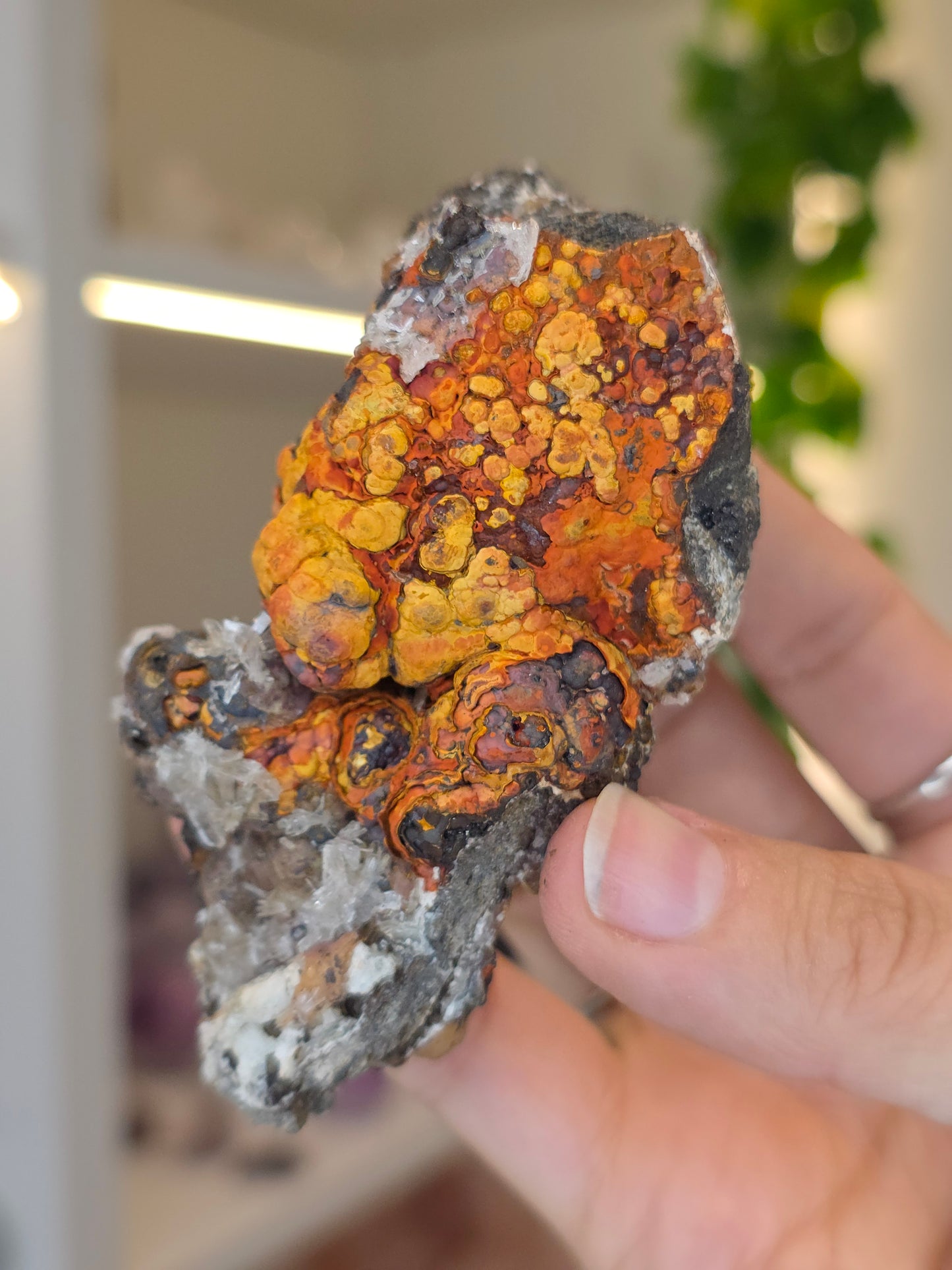 Hemimorphite, Smithsonite with Goethite Specimen Santa Eulalia, Chihuahua, Mexico - F