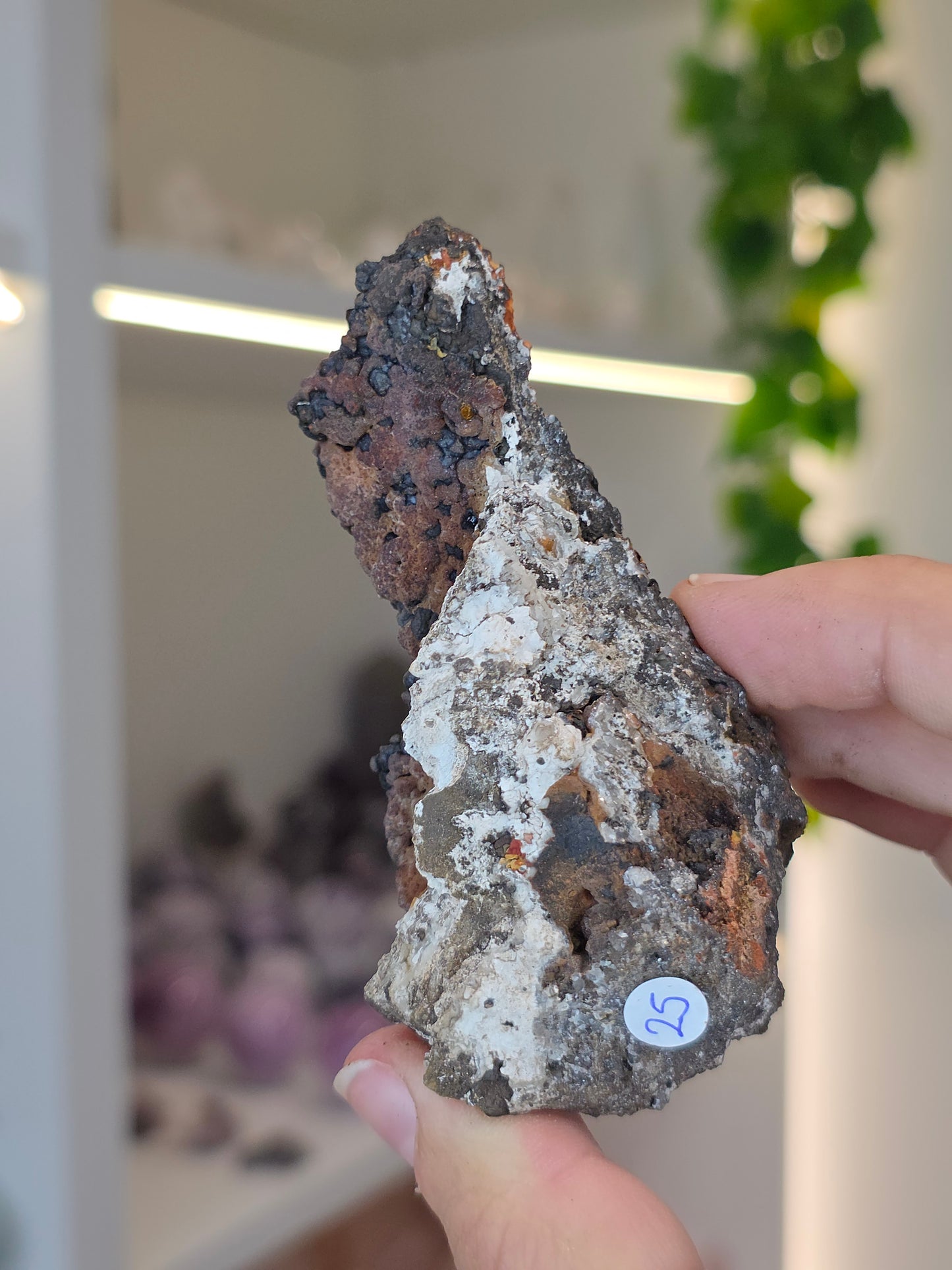 Hemimorphite, Smithsonite with Goethite Specimen Santa Eulalia, Chihuahua, Mexico - G