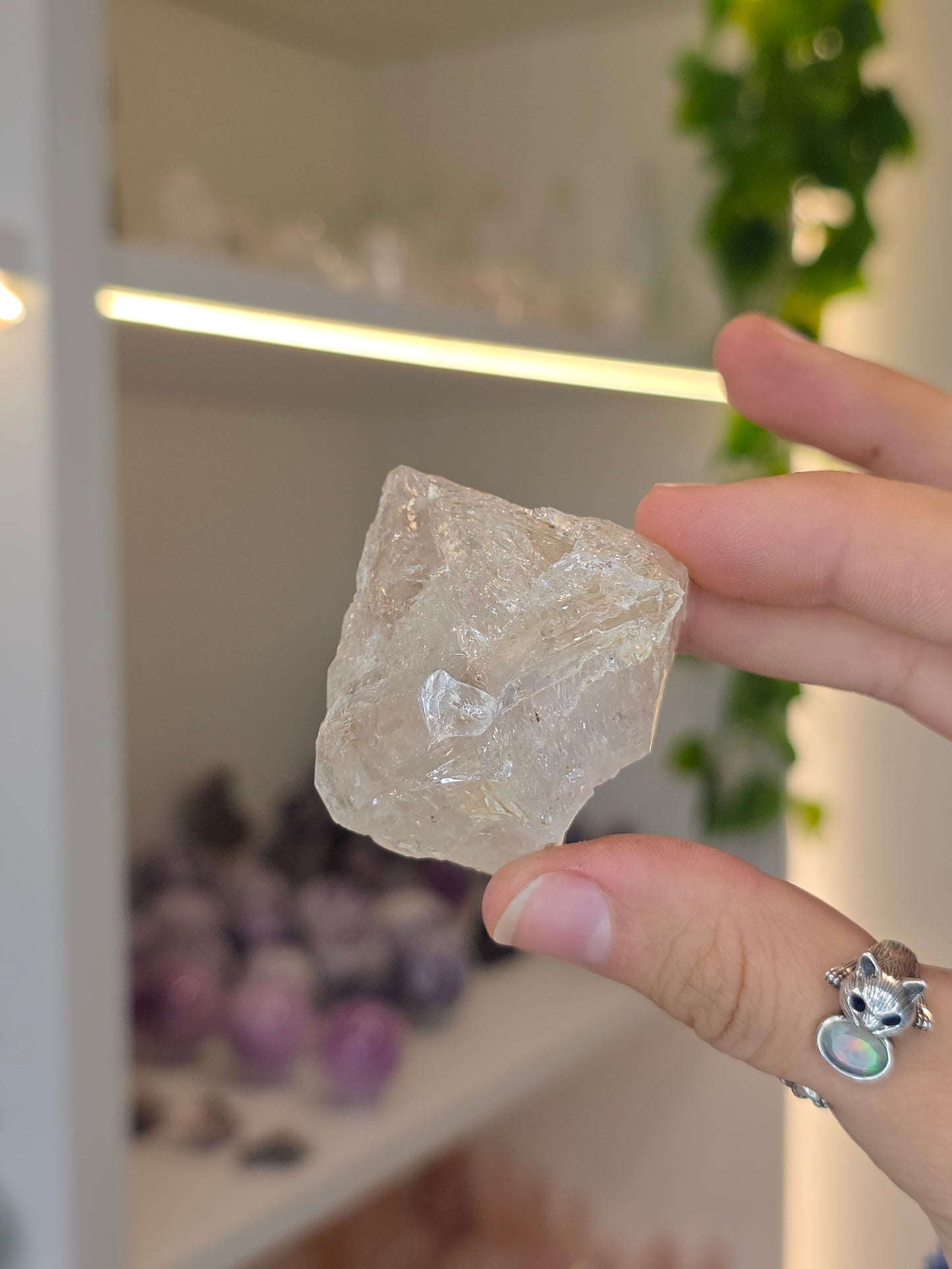 Various Fenster Quartz (Window Quartz / Elestial Quartz) from Paredon, Coahuila, Mexico