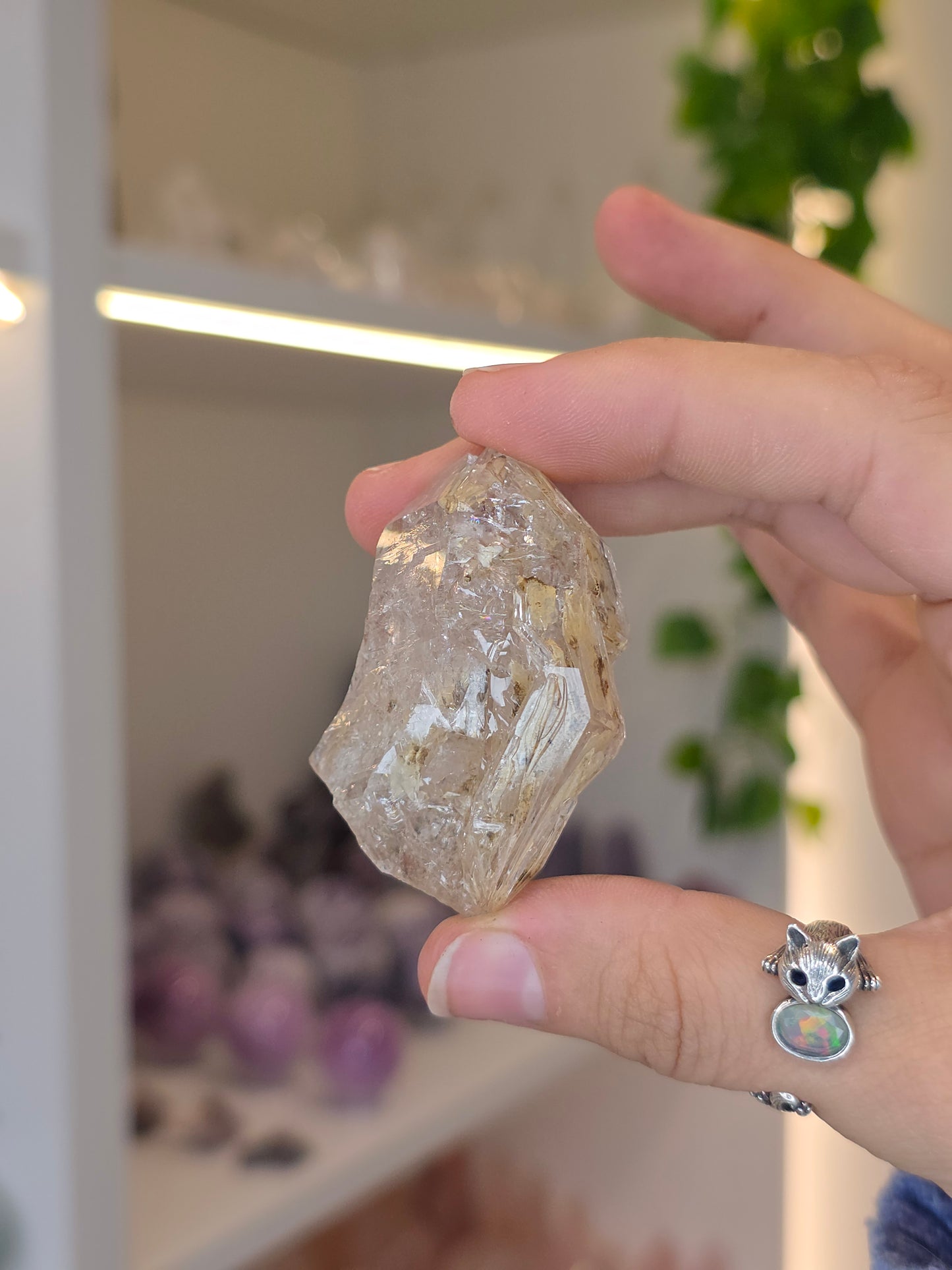 Various Fenster Quartz (Window Quartz / Elestial Quartz) from Paredon, Coahuila, Mexico