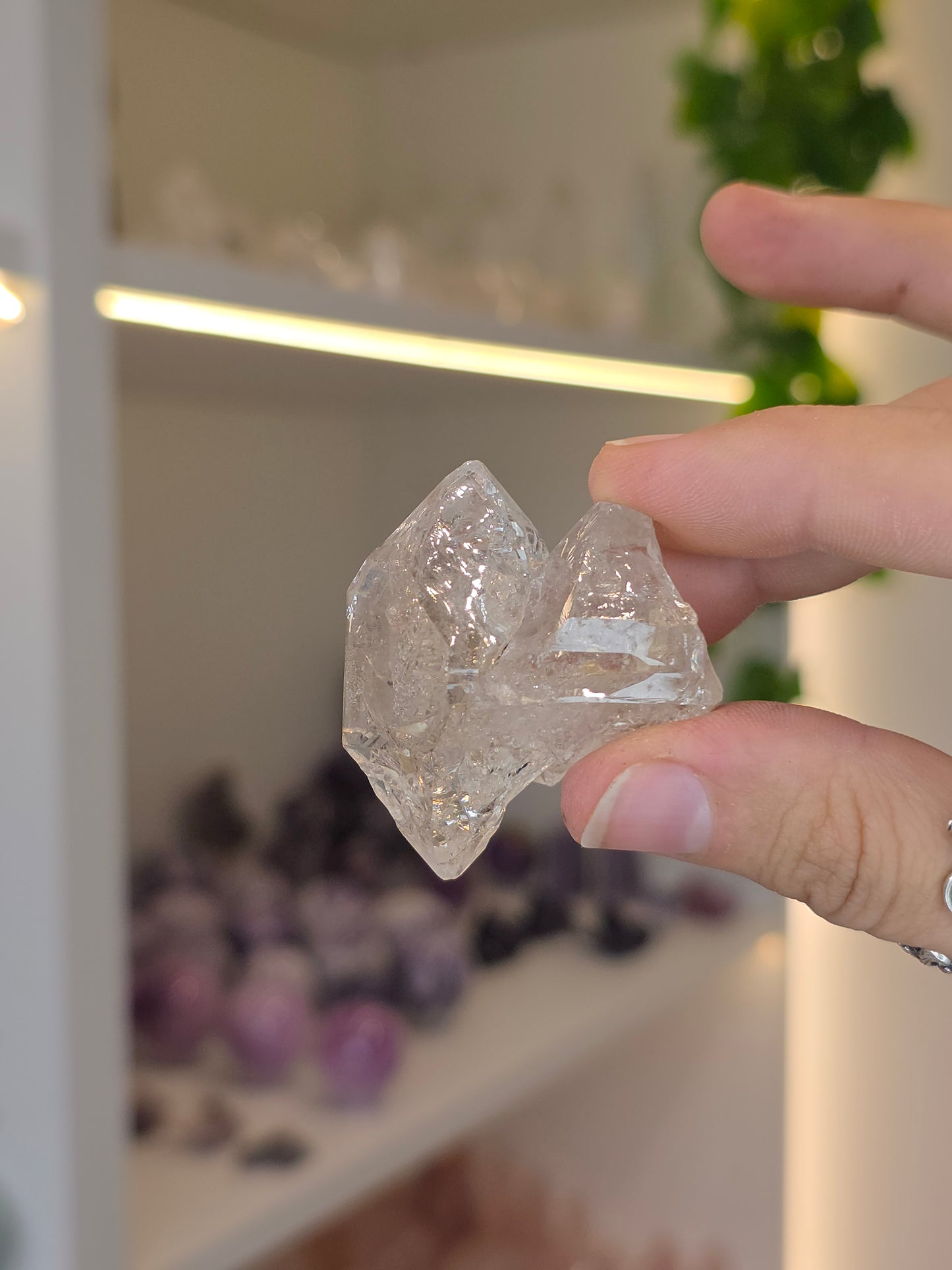 Various Fenster Quartz (Window Quartz / Elestial Quartz) from Paredon, Coahuila, Mexico