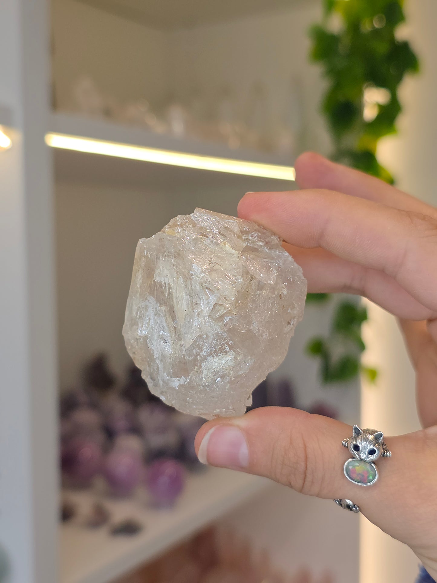Various Fenster Quartz (Window Quartz / Elestial Quartz) from Paredon, Coahuila, Mexico