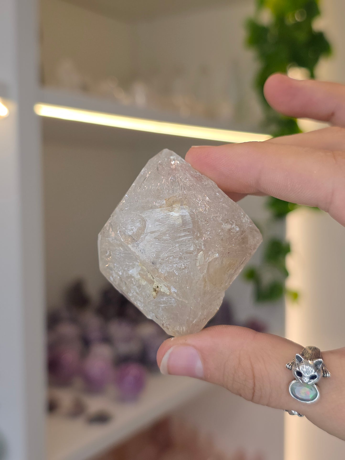 Various Fenster Quartz (Window Quartz / Elestial Quartz) from Paredon, Coahuila, Mexico