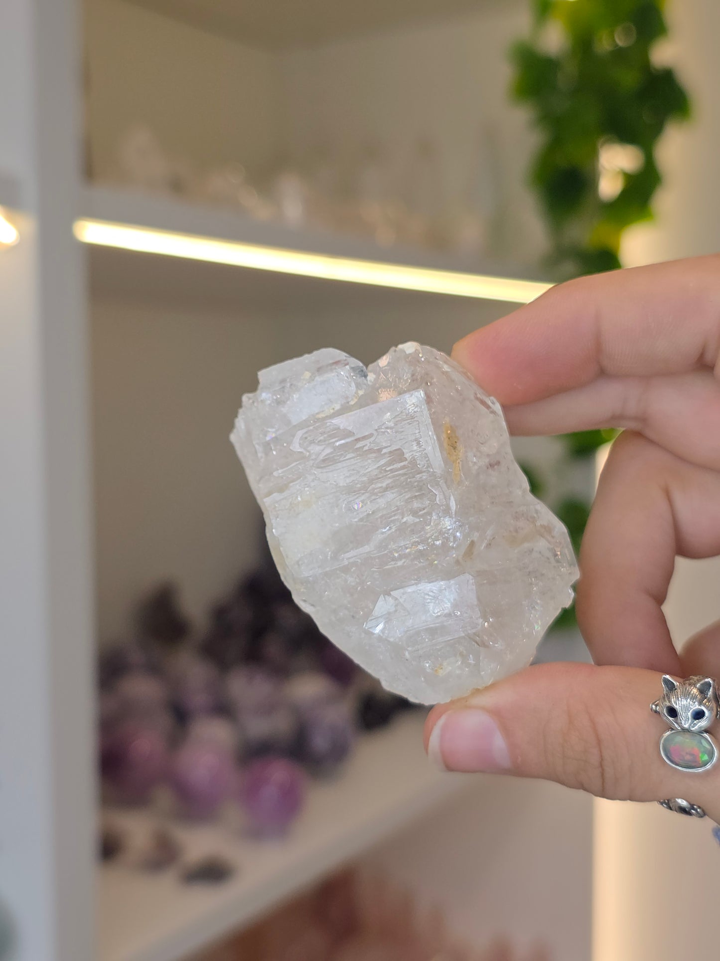 Various Fenster Quartz (Window Quartz / Elestial Quartz) from Paredon, Coahuila, Mexico