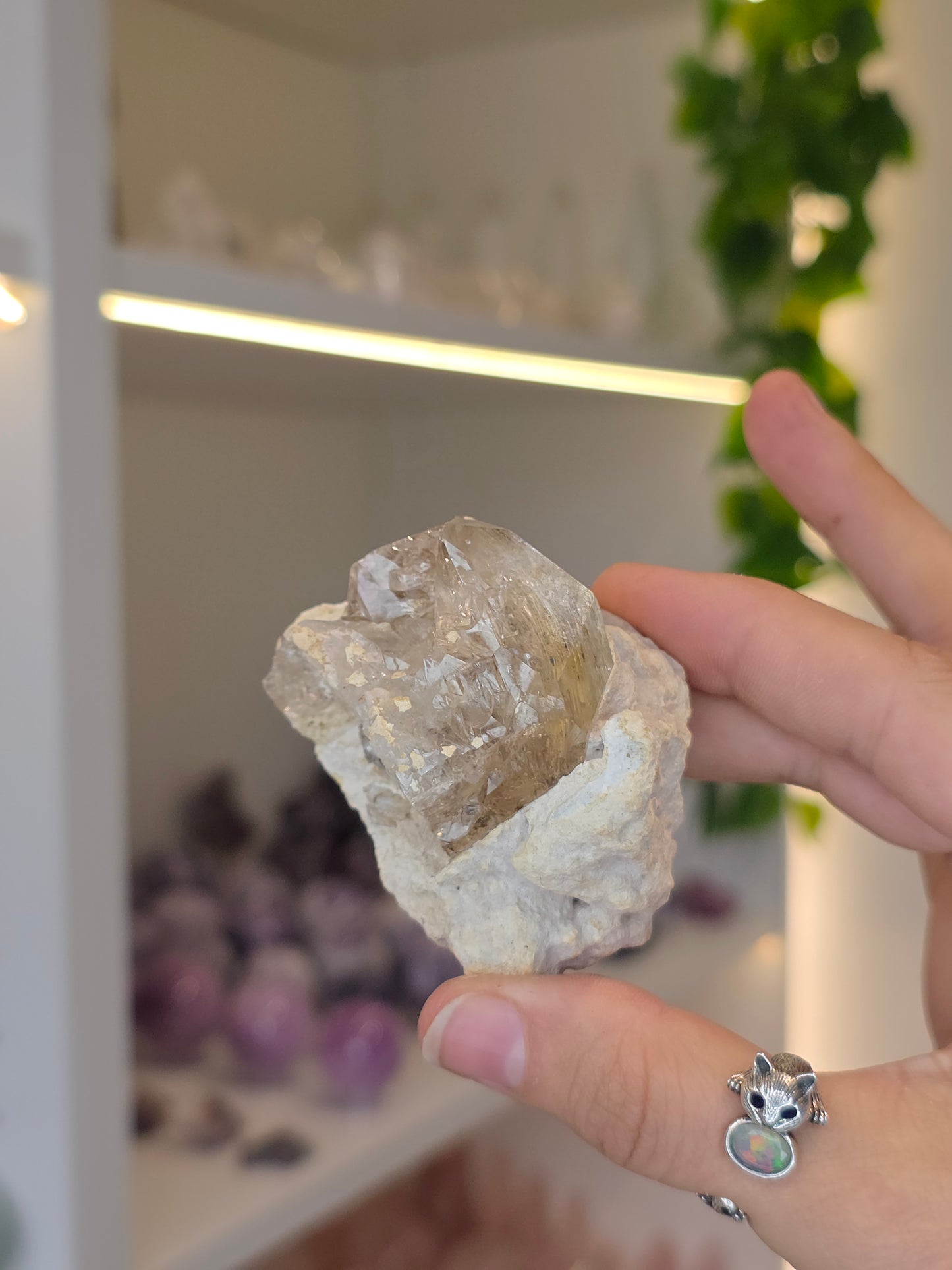 Various Fenster Quartz (Window Quartz / Elestial Quartz) from Paredon, Coahuila, Mexico