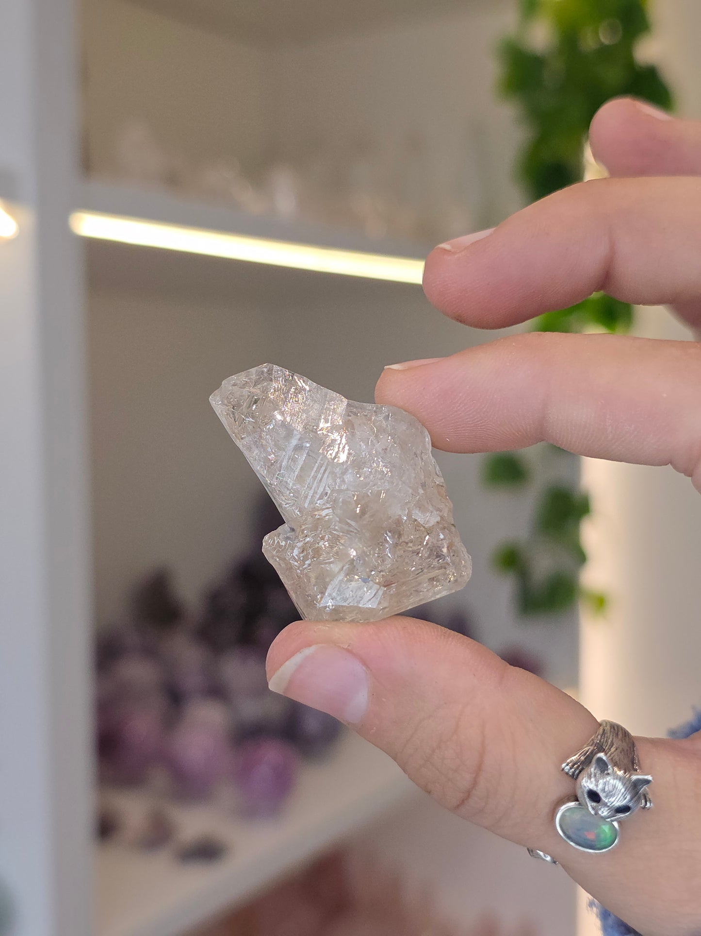 Various Fenster Quartz (Window Quartz / Elestial Quartz) from Paredon, Coahuila, Mexico