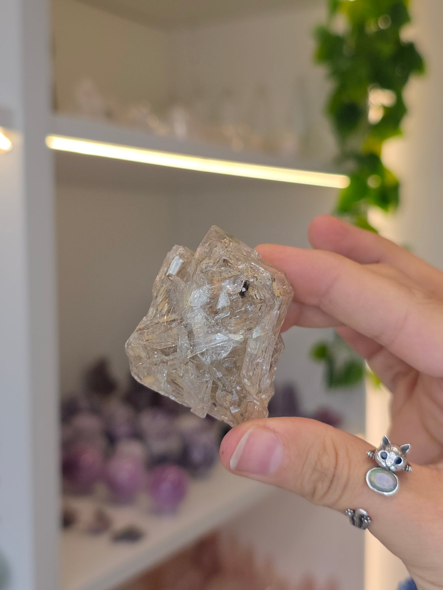 Various Fenster Quartz (Window Quartz / Elestial Quartz) from Paredon, Coahuila, Mexico