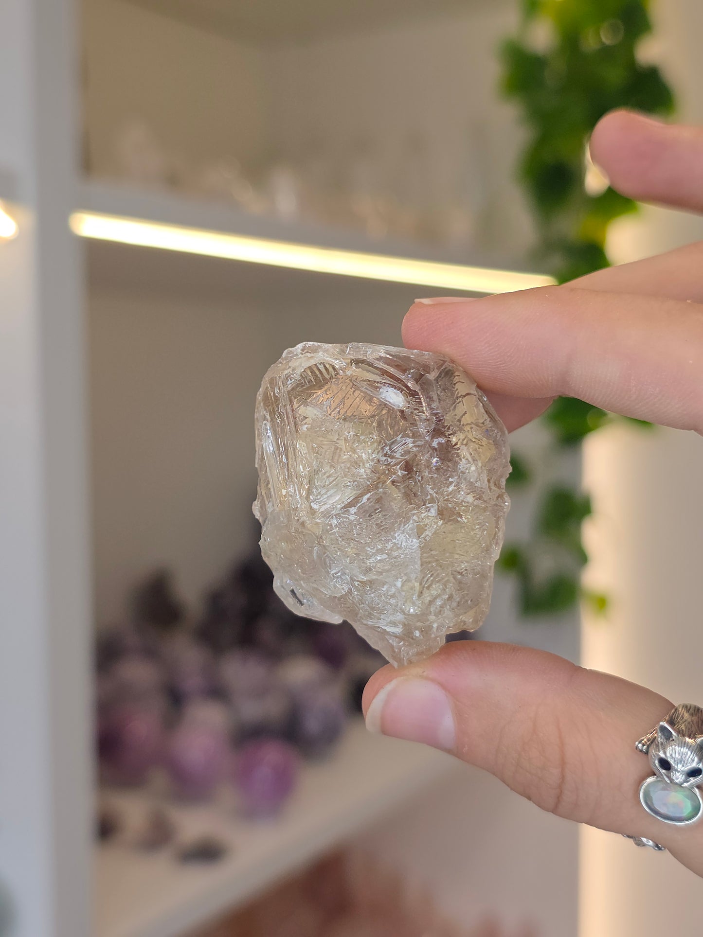Various Fenster Quartz (Window Quartz / Elestial Quartz) from Paredon, Coahuila, Mexico