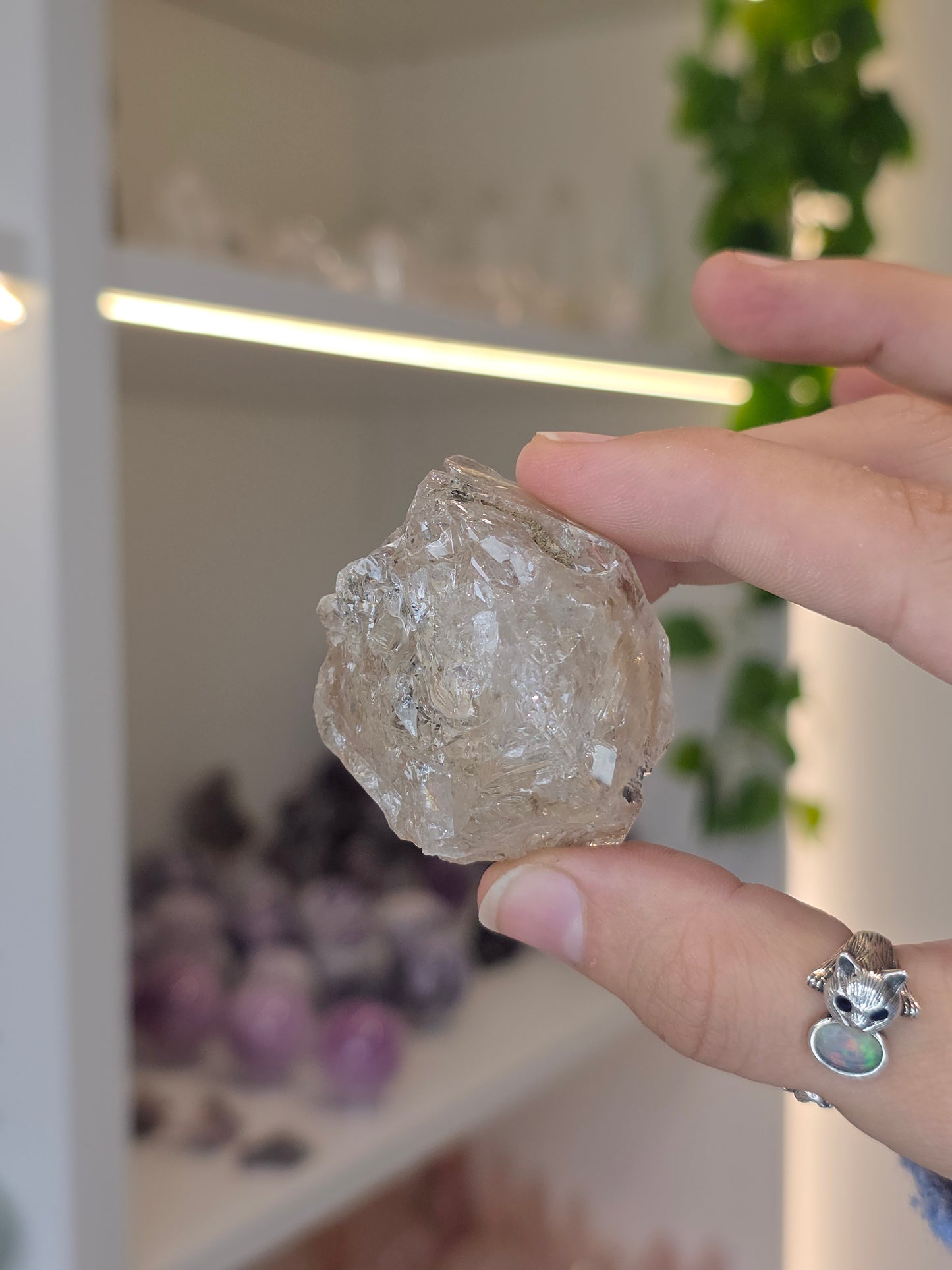 Various Fenster Quartz (Window Quartz / Elestial Quartz) from Paredon, Coahuila, Mexico