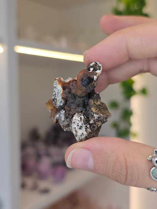 Various Small Specimen of Hemimorphite, Smithsonite with Goethite Specimen Santa Eulalia, Chihuahua, Mexico