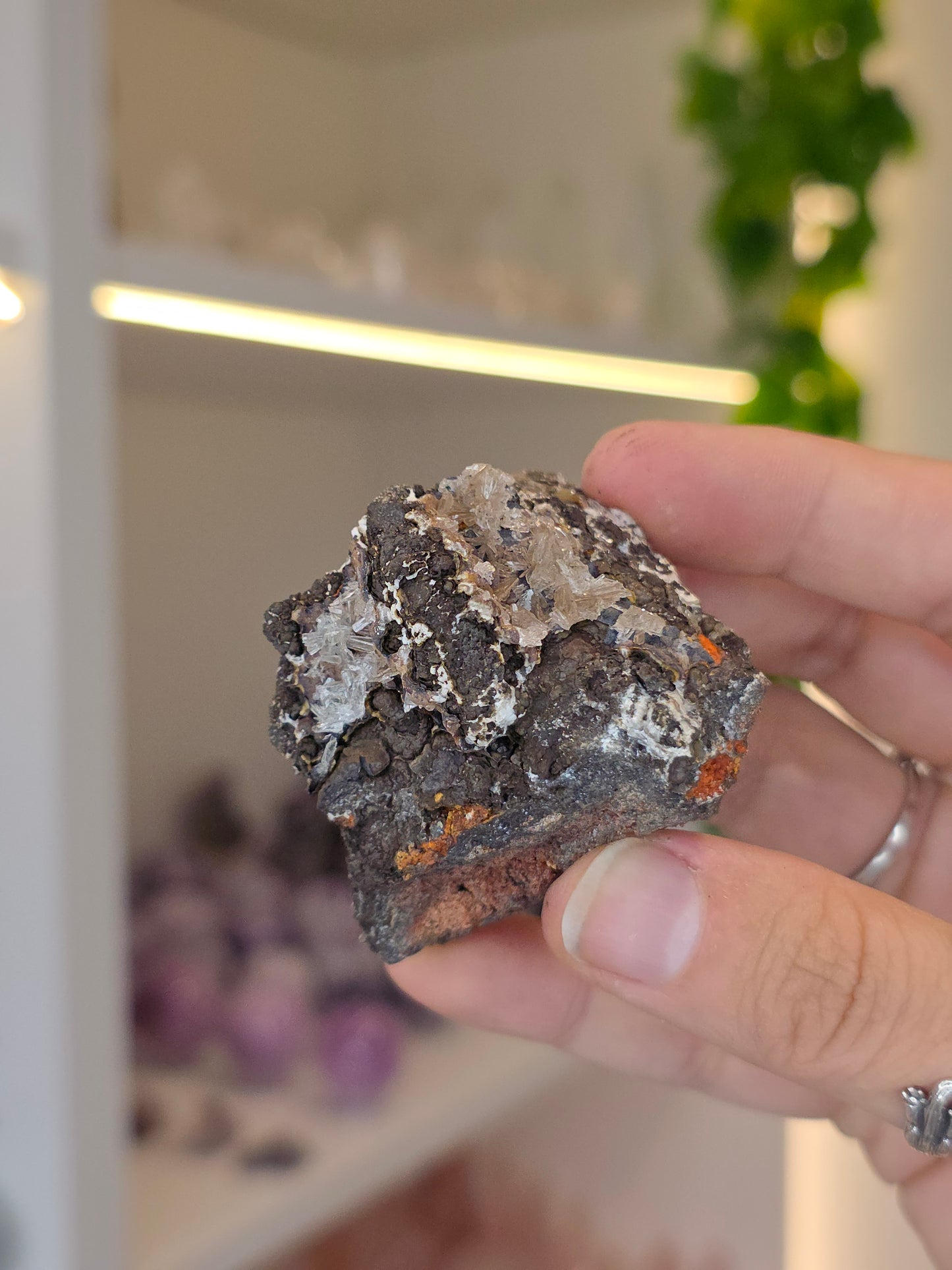 Various Small Specimen of Hemimorphite, Smithsonite with Goethite Specimen Santa Eulalia, Chihuahua, Mexico