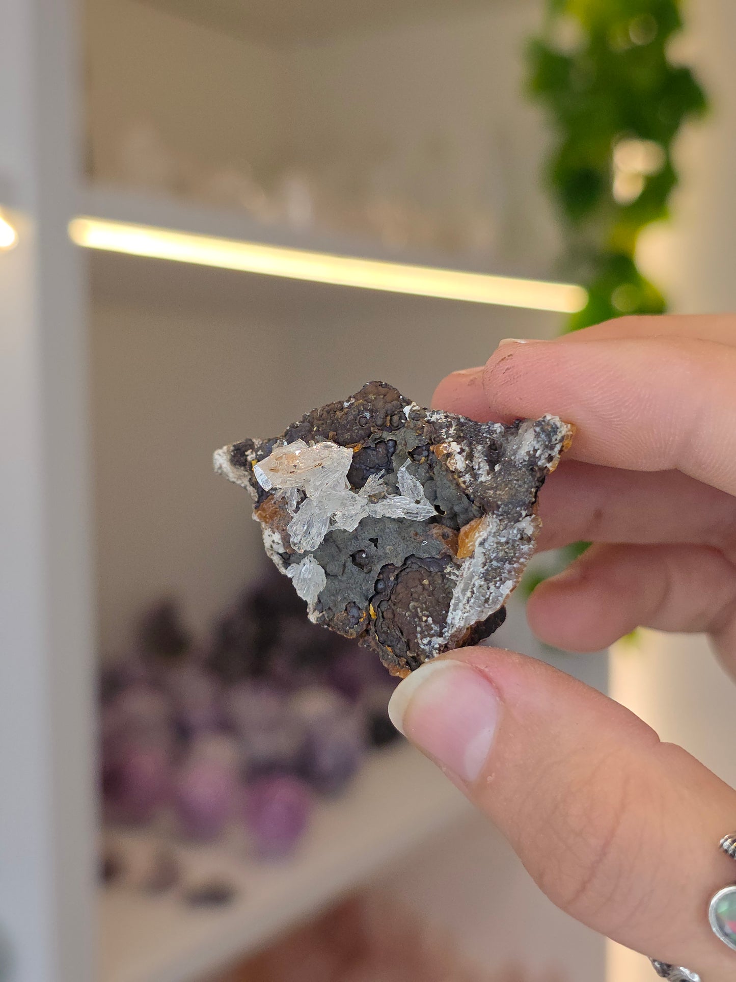 Various Small Specimen of Hemimorphite, Smithsonite with Goethite Specimen Santa Eulalia, Chihuahua, Mexico