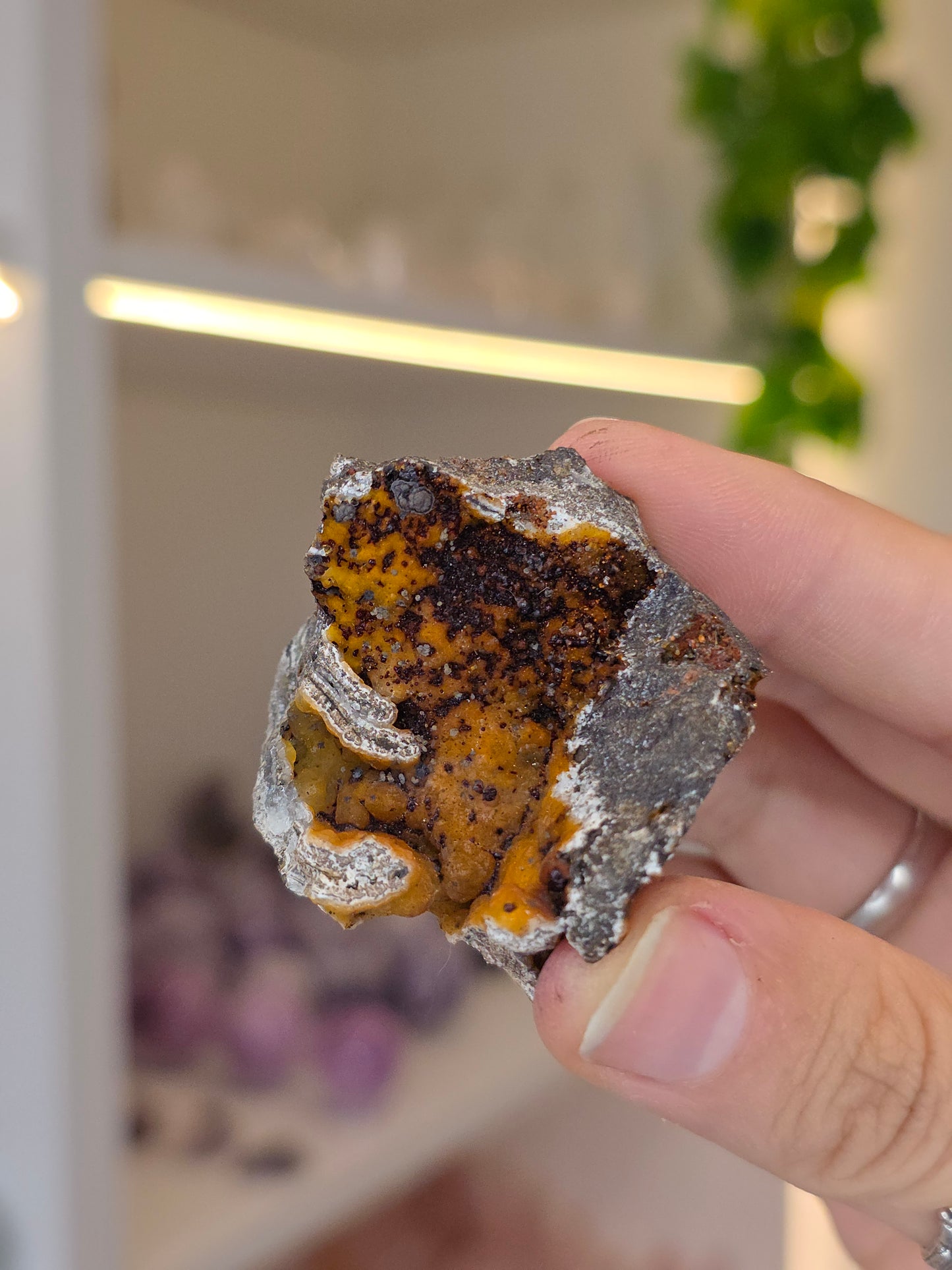 Various Small Specimen of Hemimorphite, Smithsonite with Goethite Specimen Santa Eulalia, Chihuahua, Mexico