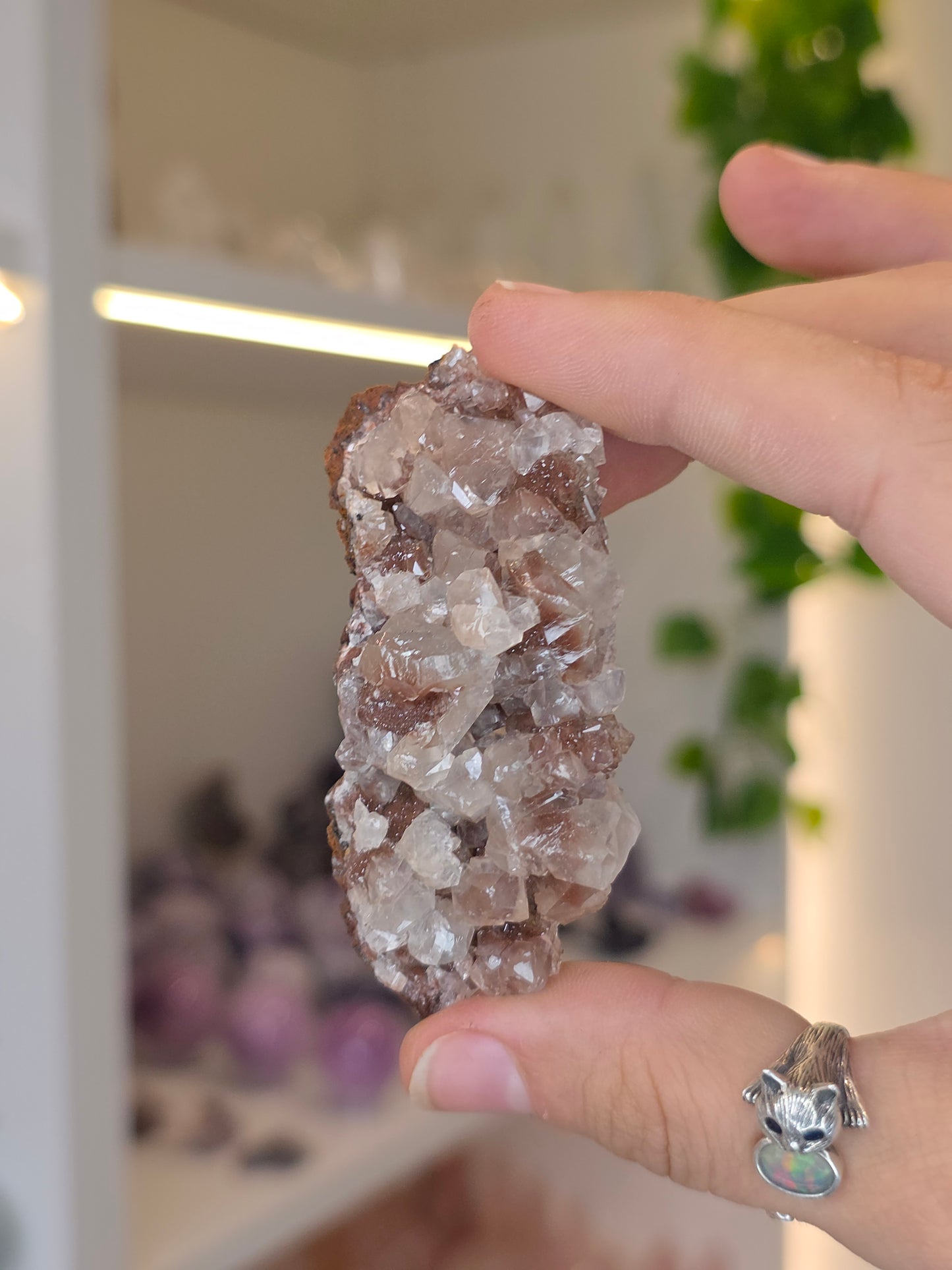 Various Diamond Calcites from Santa Eulalia, Chihuahua, Mexico