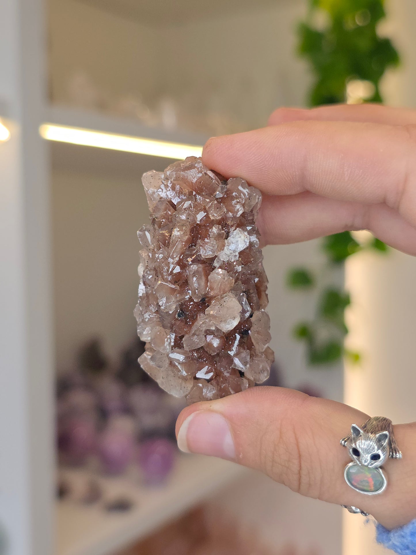 Various Diamond Calcites from Santa Eulalia, Chihuahua, Mexico