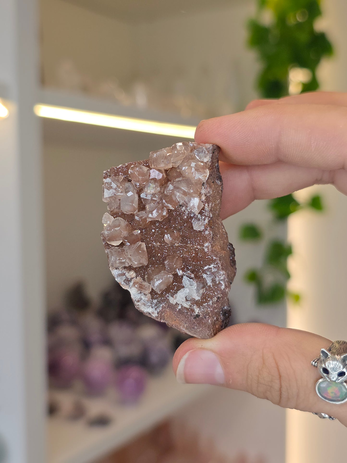 Various Diamond Calcites from Santa Eulalia, Chihuahua, Mexico