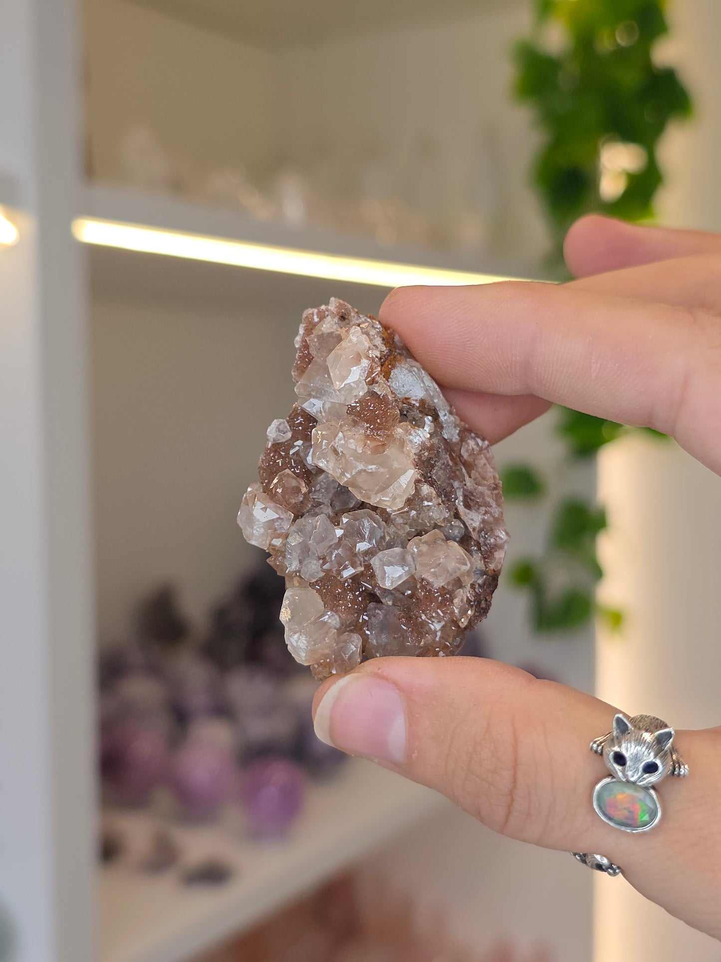 Various Diamond Calcites from Santa Eulalia, Chihuahua, Mexico