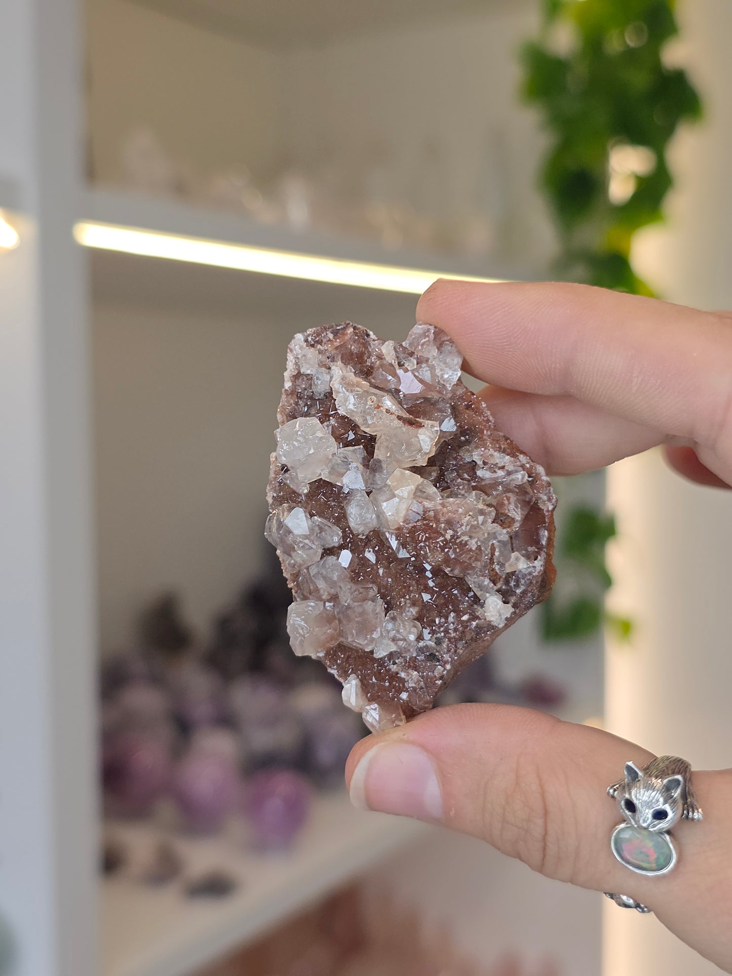 Various Diamond Calcites from Santa Eulalia, Chihuahua, Mexico