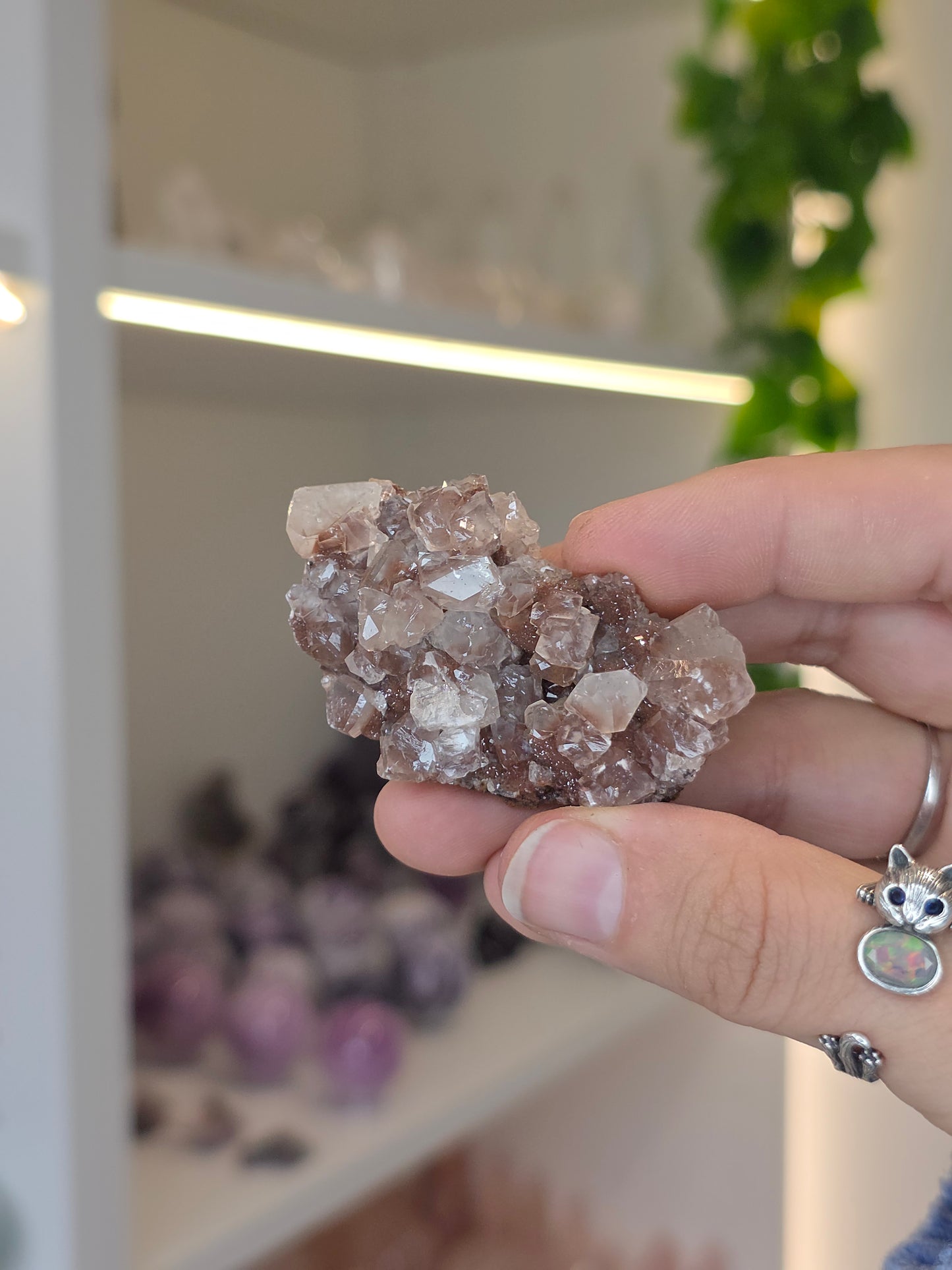 Various Diamond Calcites from Santa Eulalia, Chihuahua, Mexico
