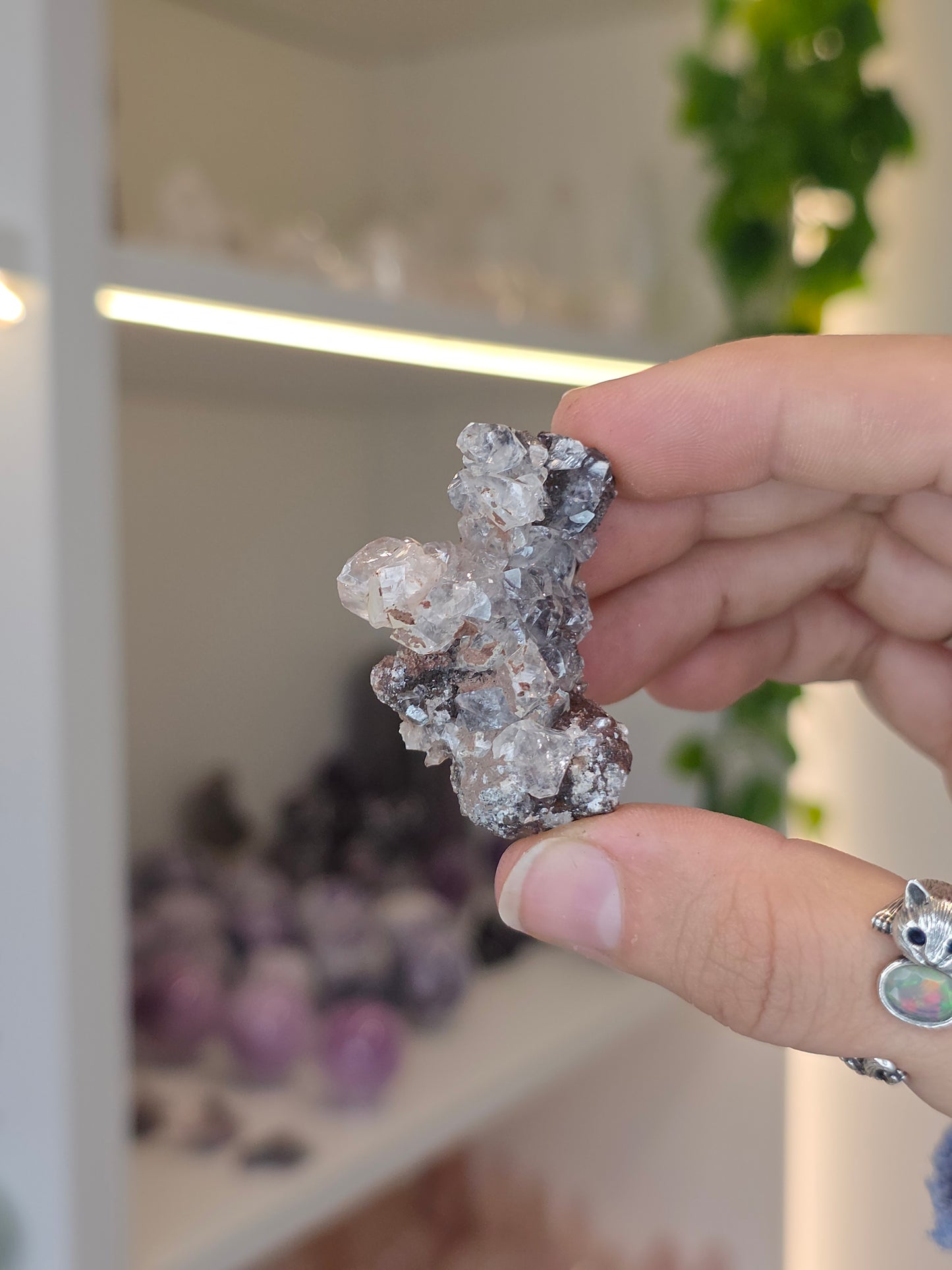 Various Diamond Calcites from Santa Eulalia, Chihuahua, Mexico