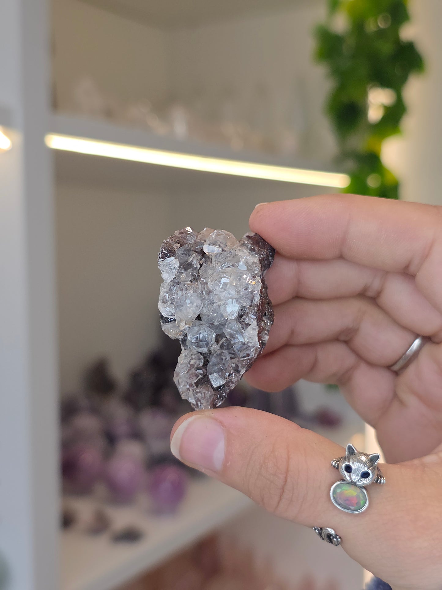 Various Diamond Calcites from Santa Eulalia, Chihuahua, Mexico