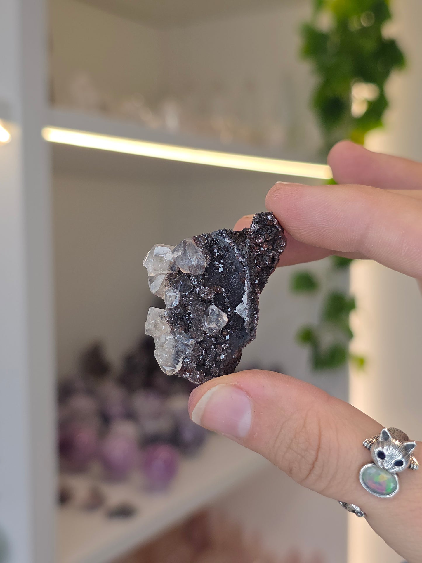 Various Diamond Calcites from Santa Eulalia, Chihuahua, Mexico