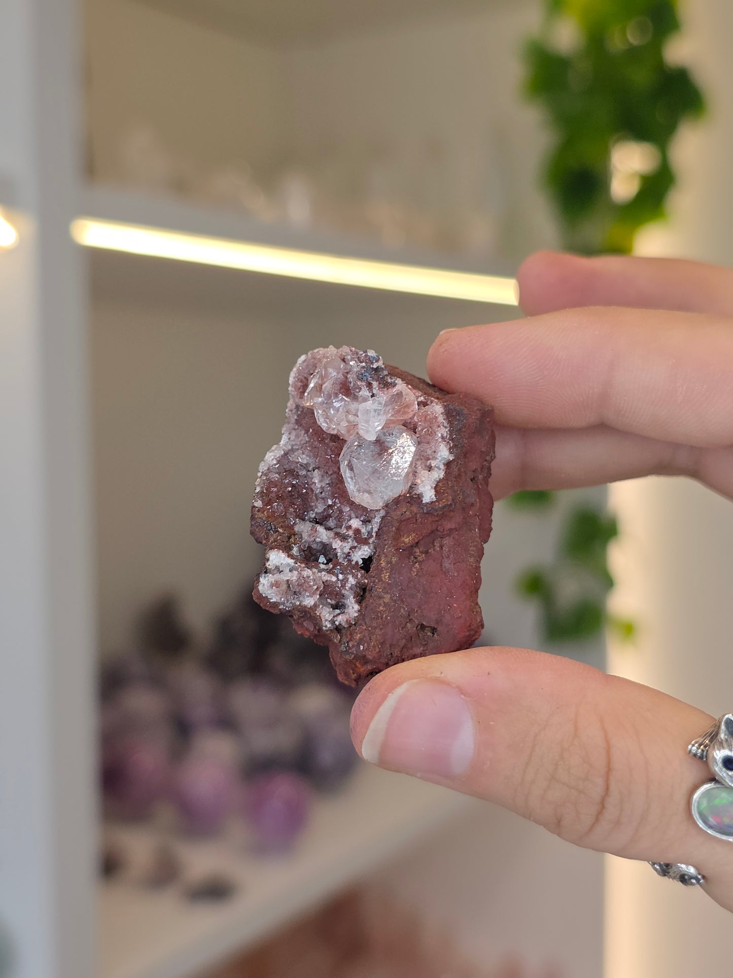 Various Diamond Calcites from Santa Eulalia, Chihuahua, Mexico