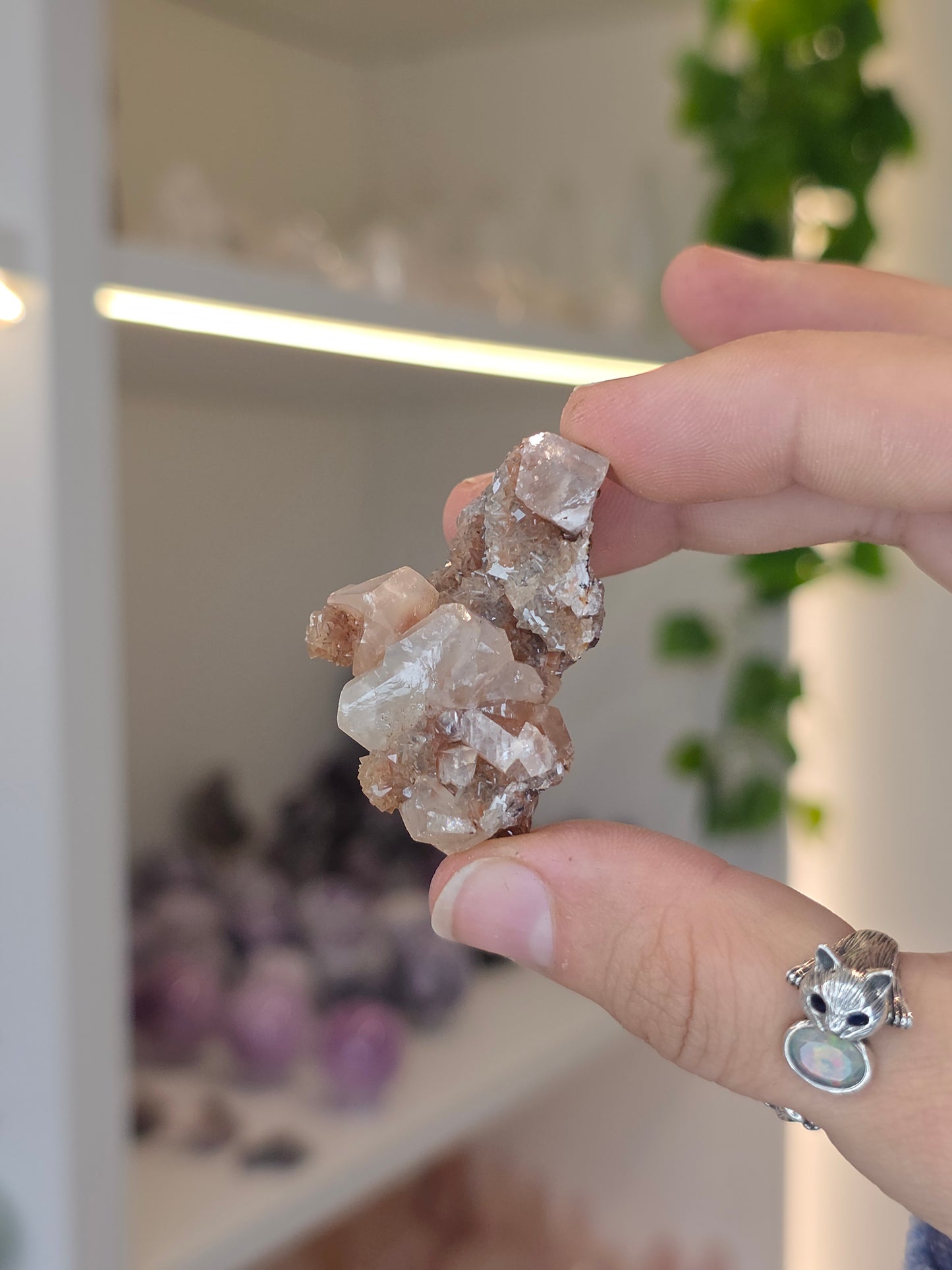 Various Diamond Calcites from Santa Eulalia, Chihuahua, Mexico