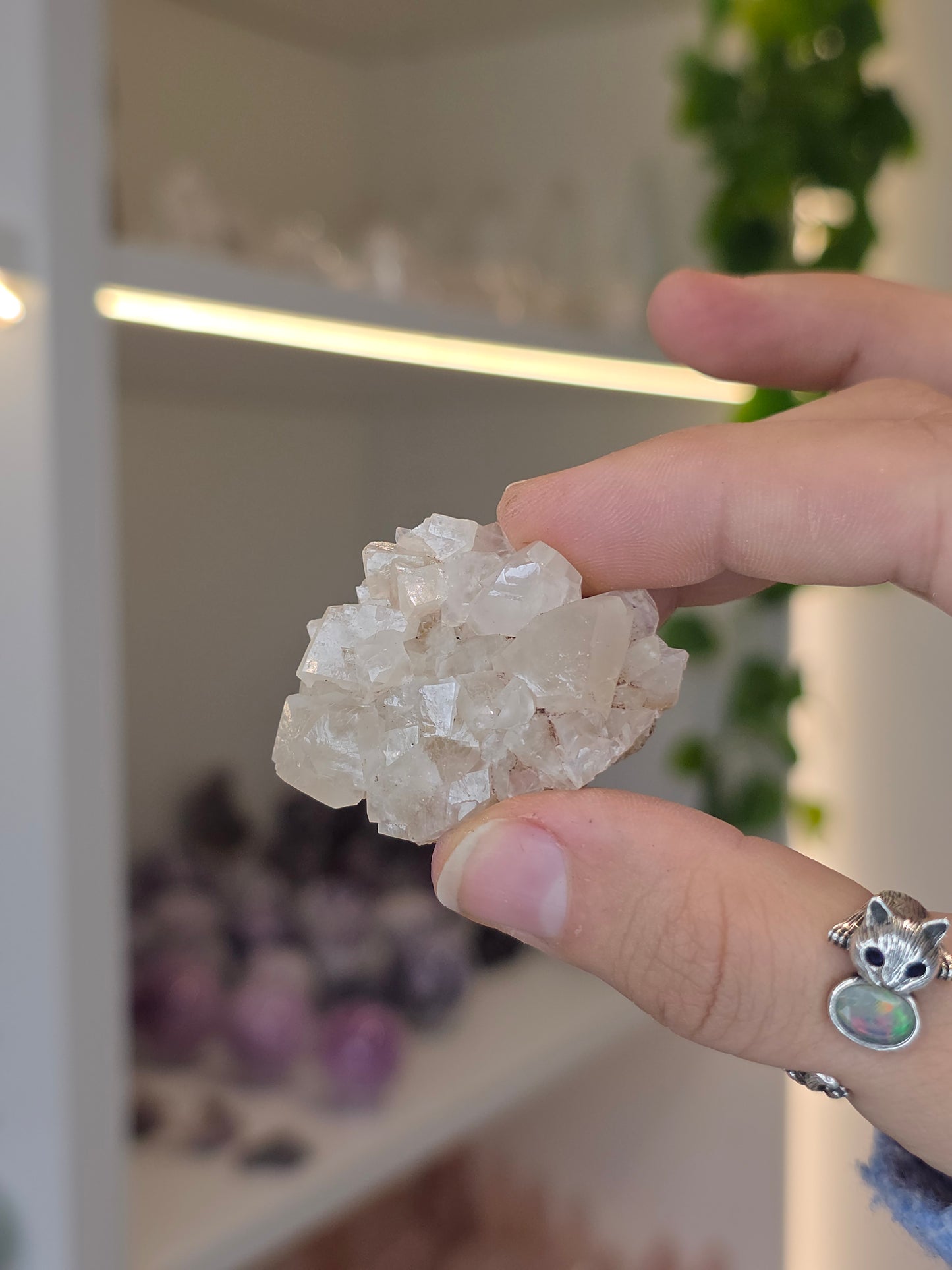 Various Diamond Calcites from Santa Eulalia, Chihuahua, Mexico