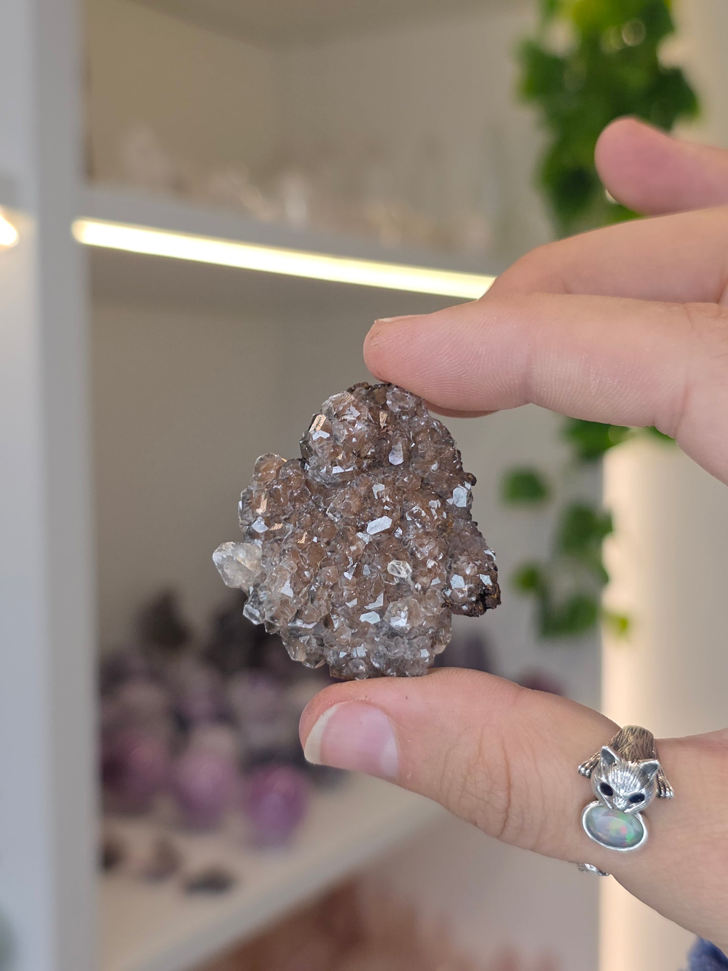 Various Diamond Calcites from Santa Eulalia, Chihuahua, Mexico