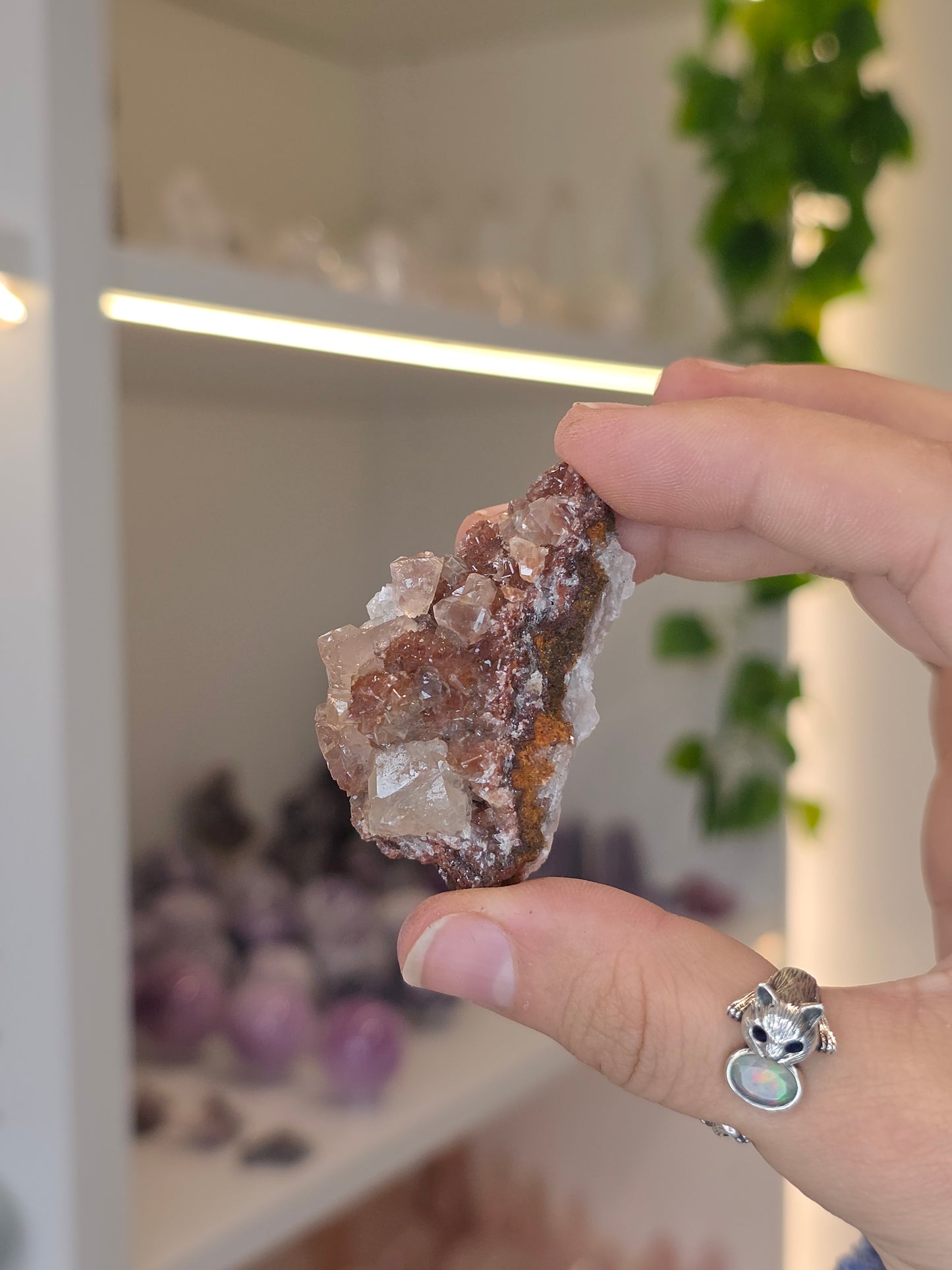 Various Diamond Calcites from Santa Eulalia, Chihuahua, Mexico