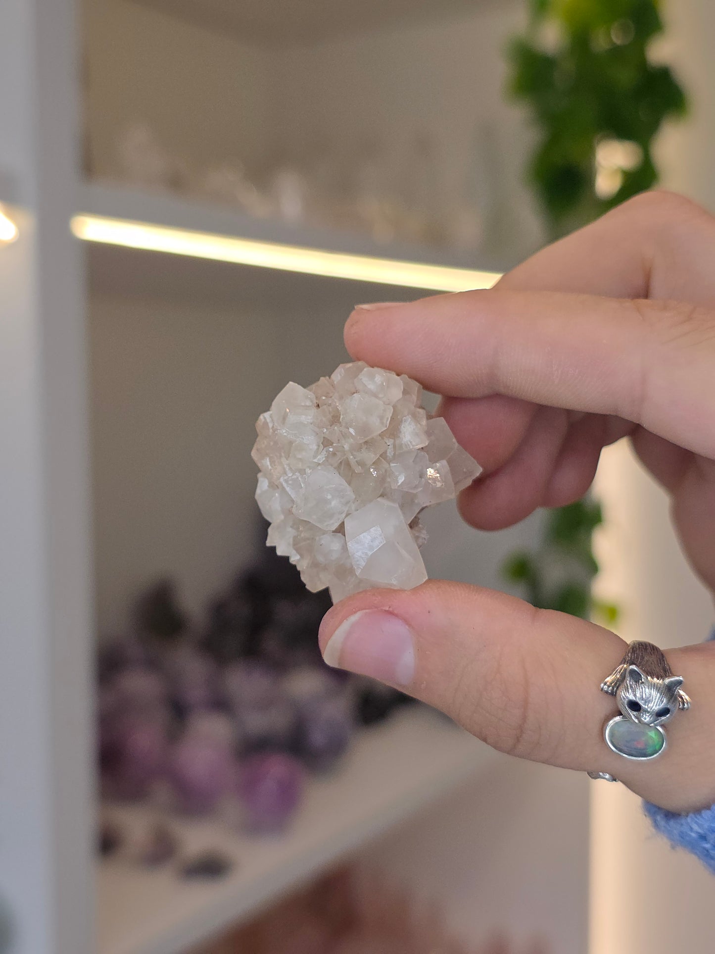 Various Diamond Calcites from Santa Eulalia, Chihuahua, Mexico