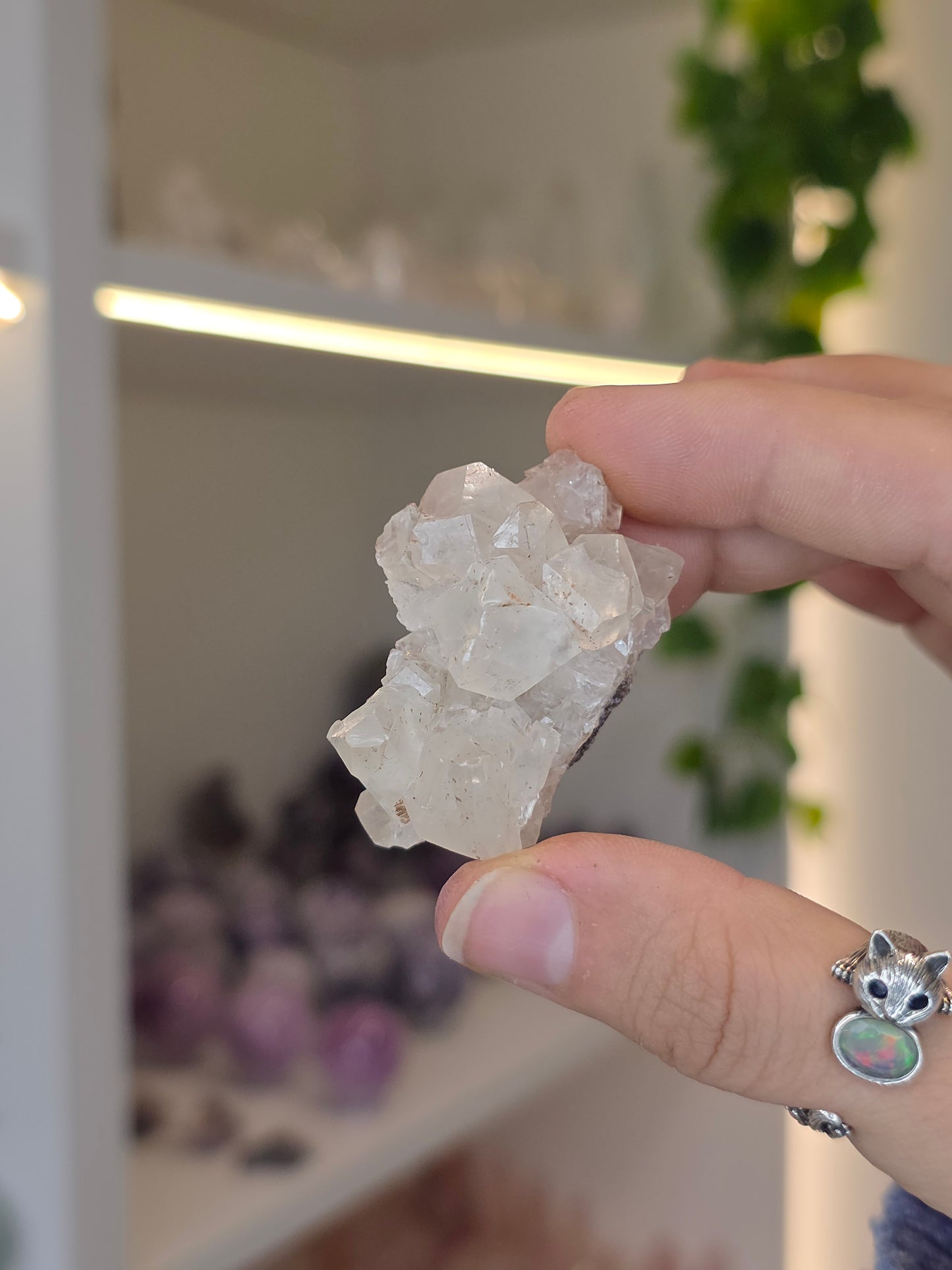 Various Diamond Calcites from Santa Eulalia, Chihuahua, Mexico