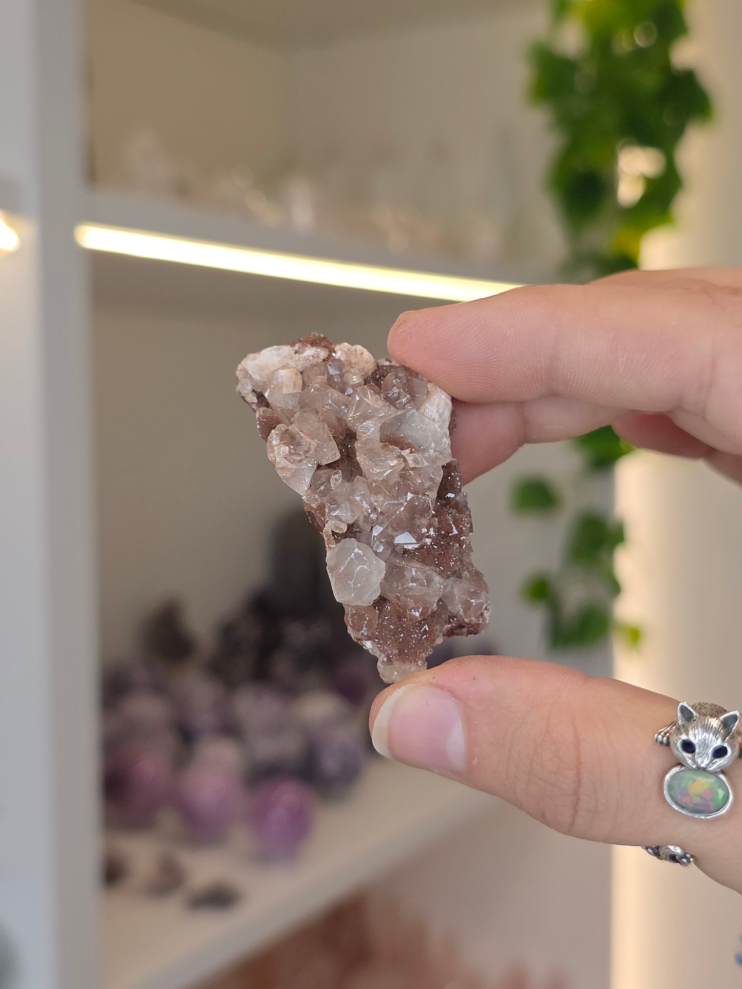 Various Diamond Calcites from Santa Eulalia, Chihuahua, Mexico
