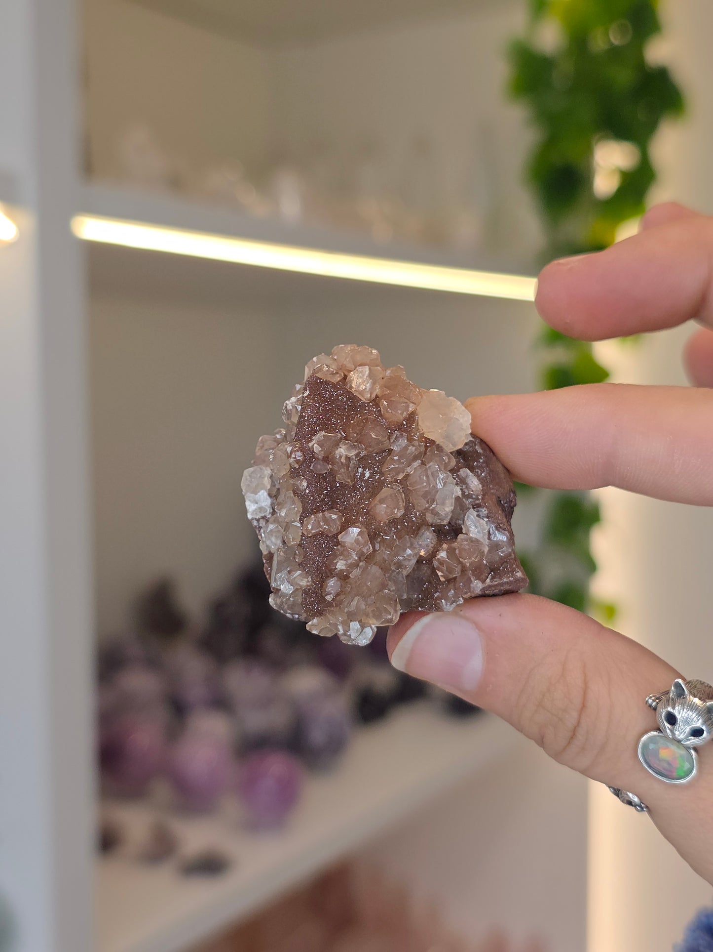 Various Diamond Calcites from Santa Eulalia, Chihuahua, Mexico