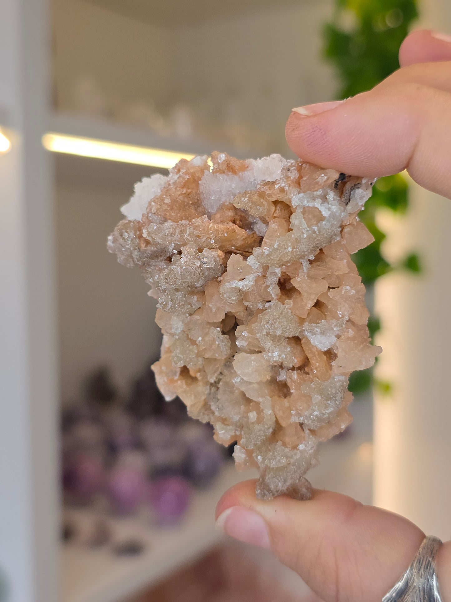 Selenite on Dogtooth Calcite from Santa Eulalia, Chihuahua, Mexico - D
