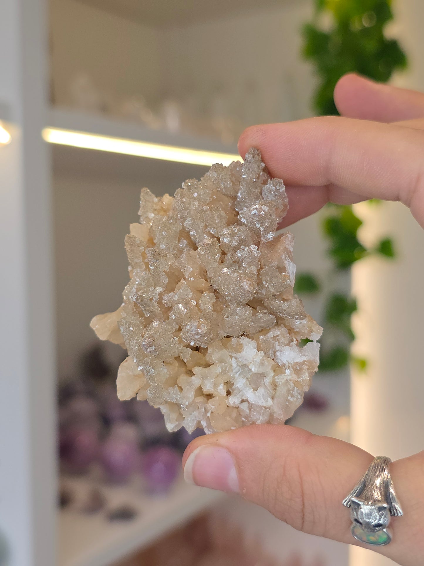 Selenite on Dogtooth Calcite from Santa Eulalia, Chihuahua, Mexico - E