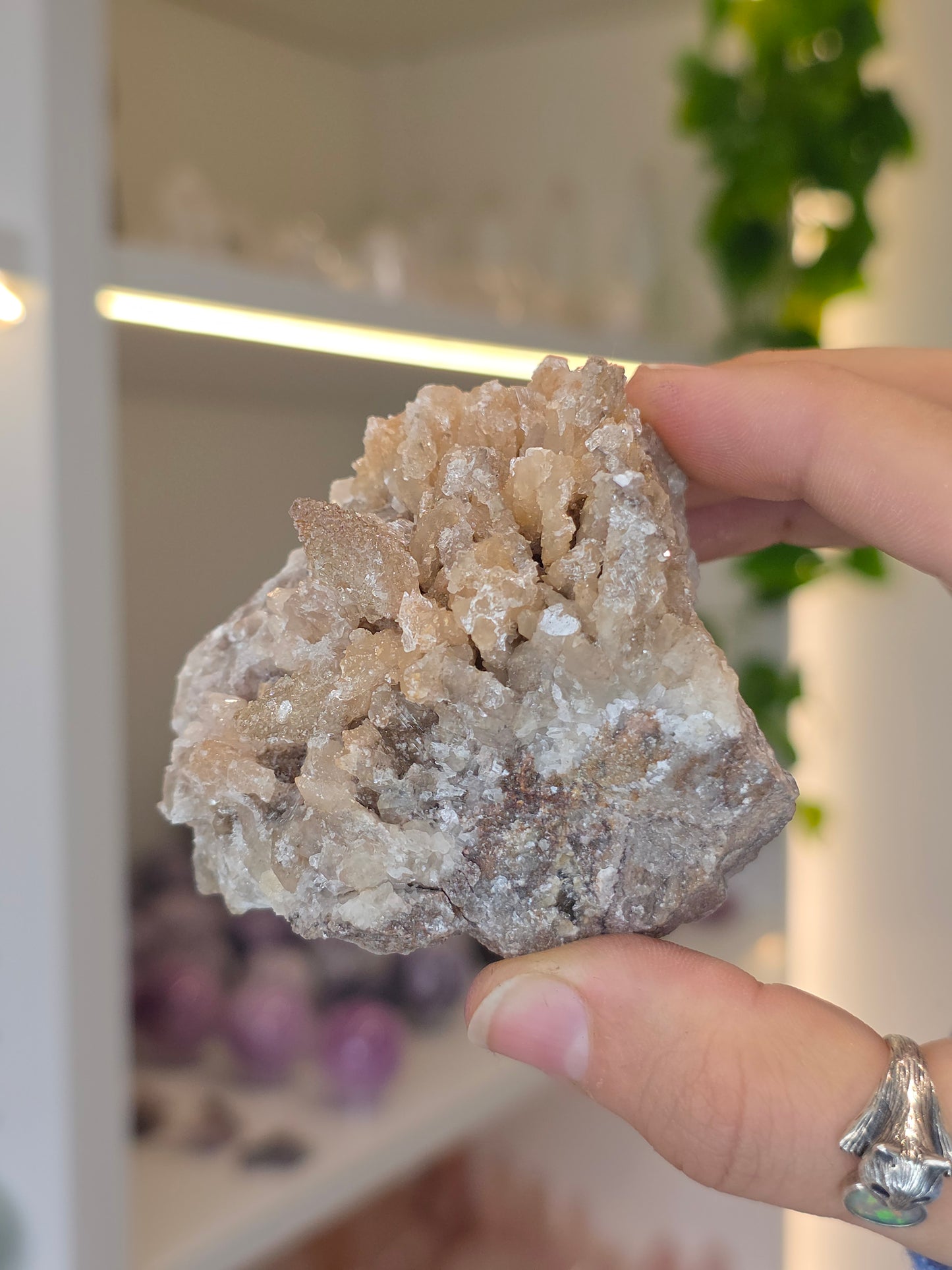 Selenite on Dogtooth Calcite from Santa Eulalia, Chihuahua, Mexico - F