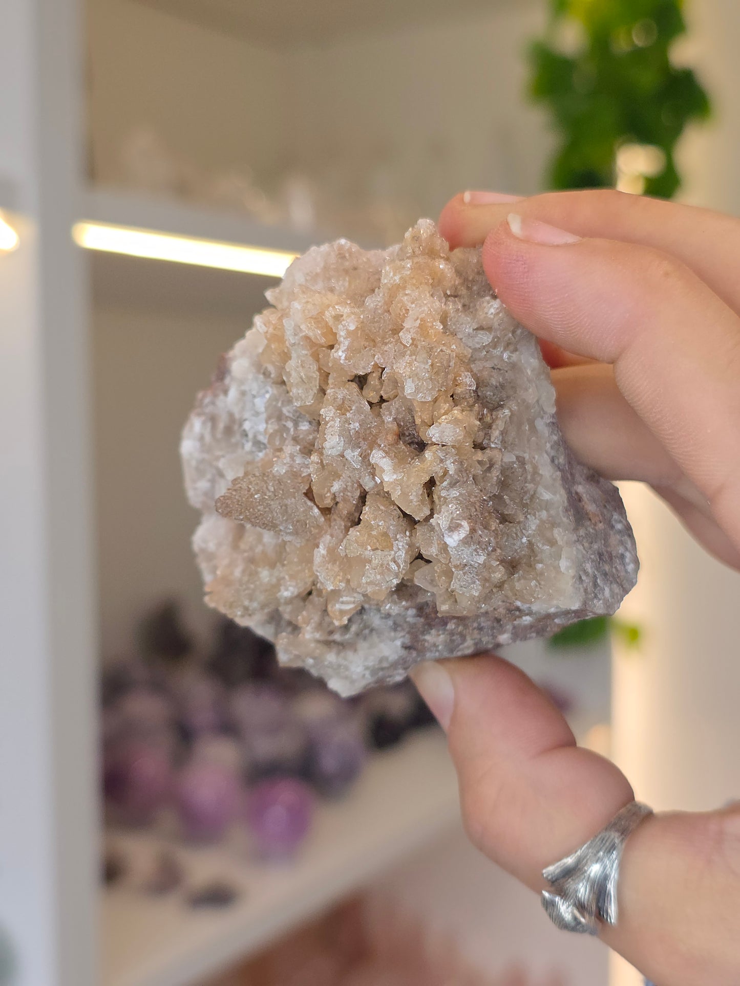 Selenite on Dogtooth Calcite from Santa Eulalia, Chihuahua, Mexico - F