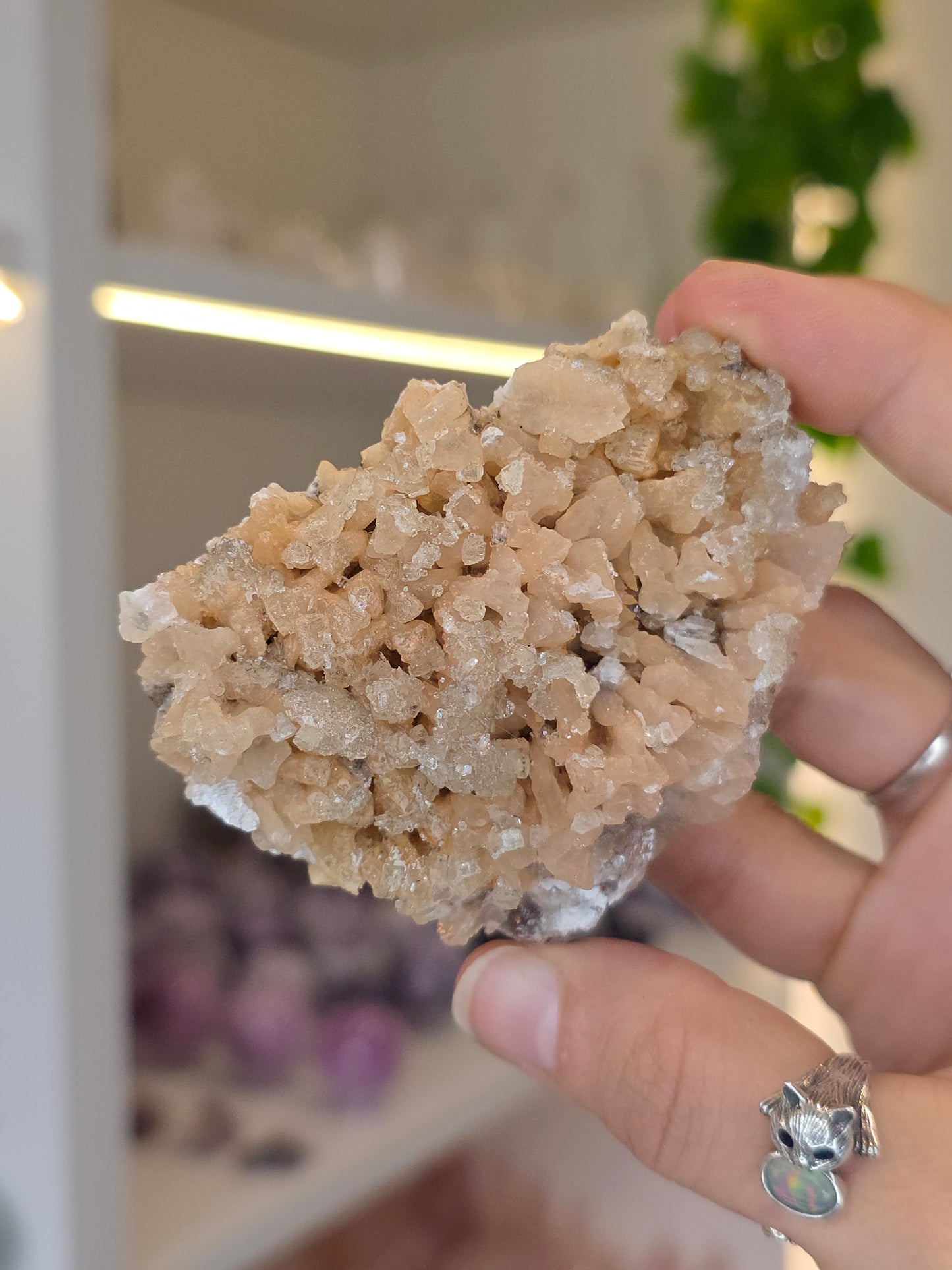 Selenite on Dogtooth Calcite from Santa Eulalia, Chihuahua, Mexico - G