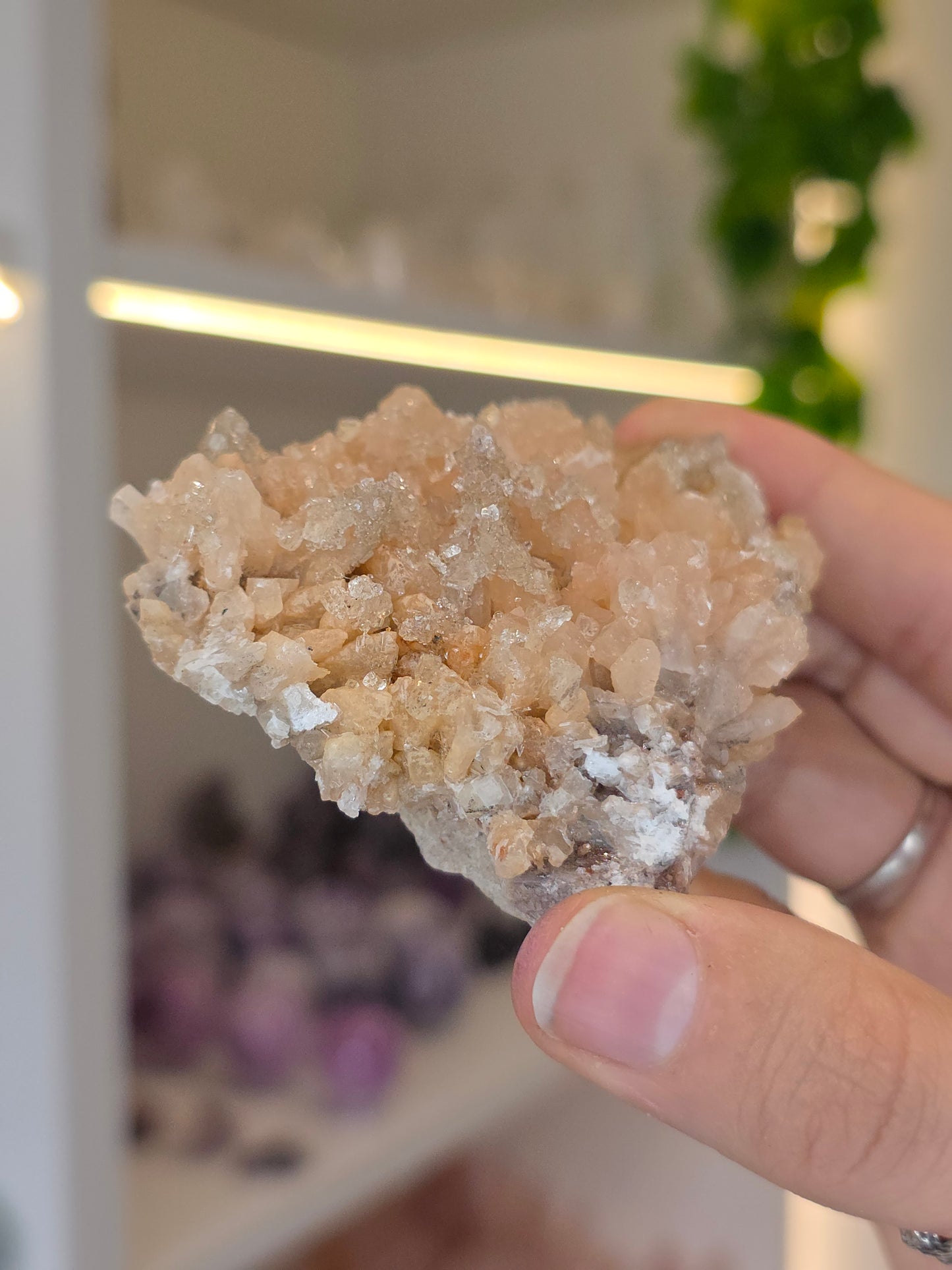 Selenite on Dogtooth Calcite from Santa Eulalia, Chihuahua, Mexico - G