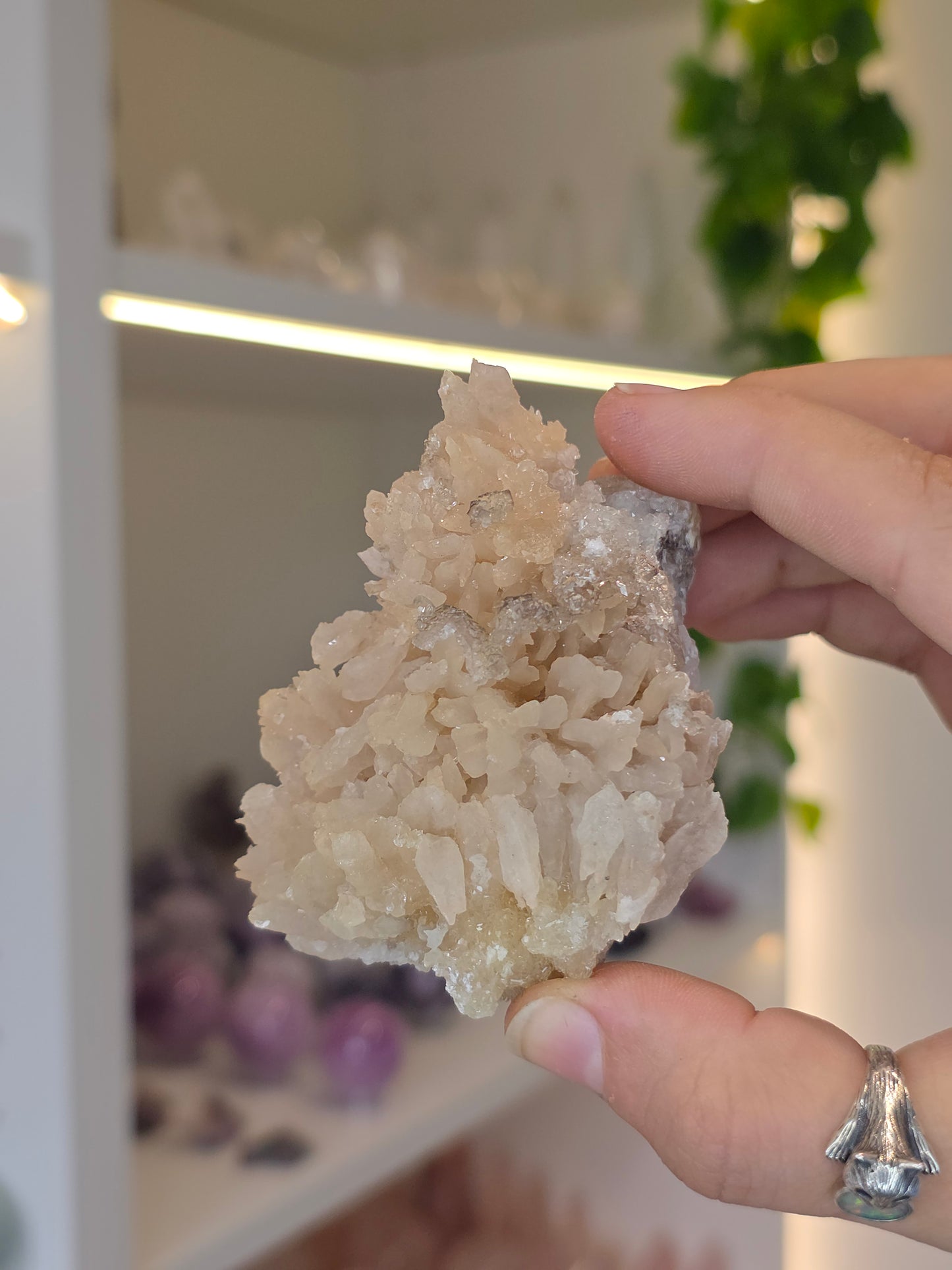Selenite on Dogtooth Calcite from Santa Eulalia, Chihuahua, Mexico - H