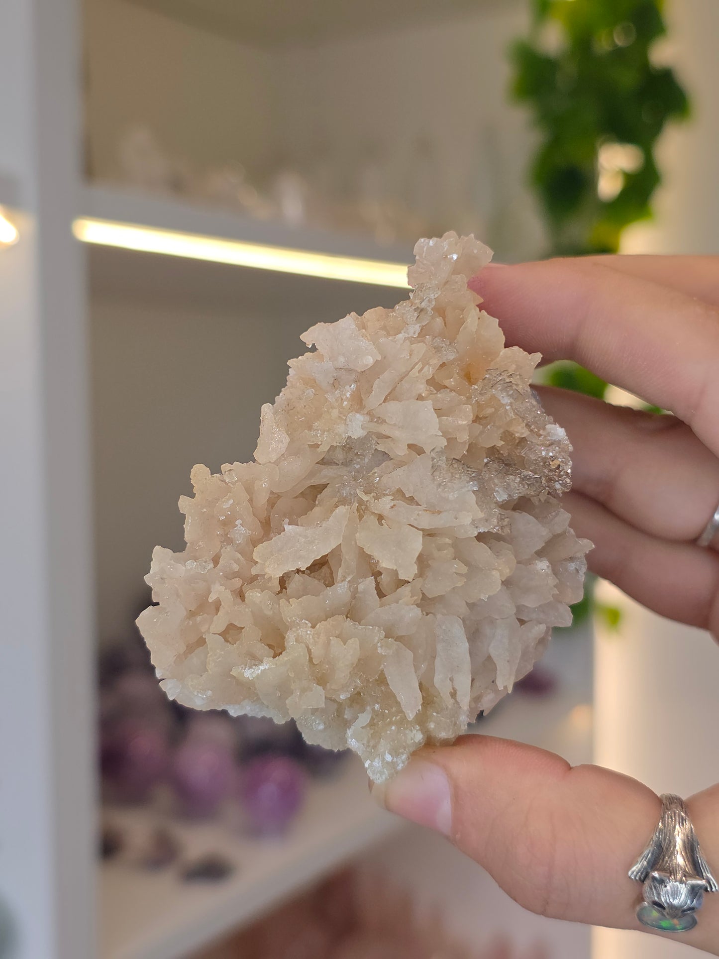 Selenite on Dogtooth Calcite from Santa Eulalia, Chihuahua, Mexico - H