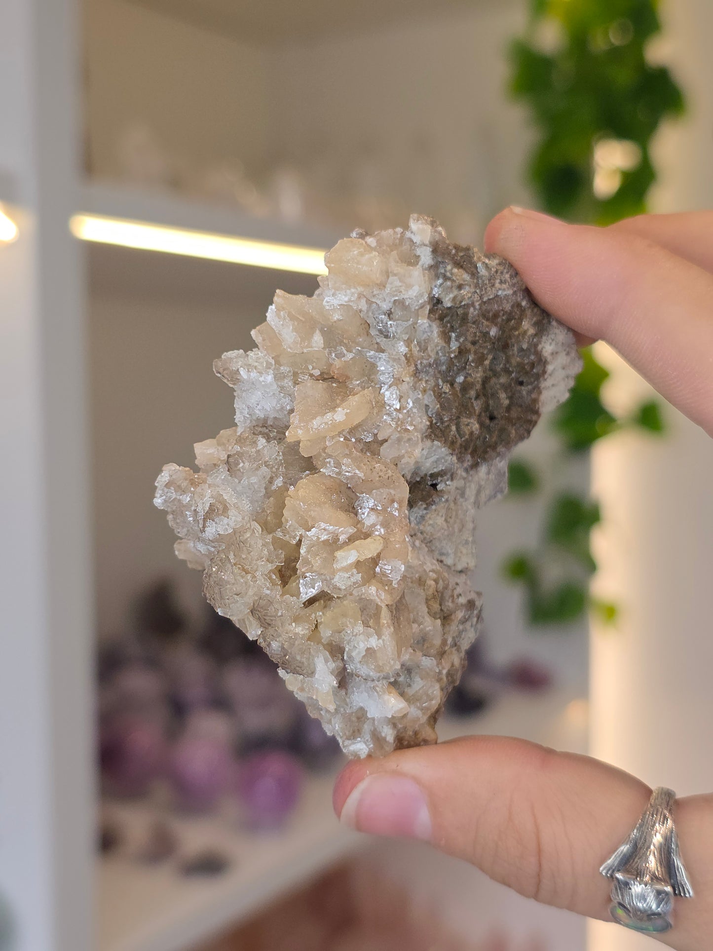 Selenite on Dogtooth Calcite from Santa Eulalia, Chihuahua, Mexico - I