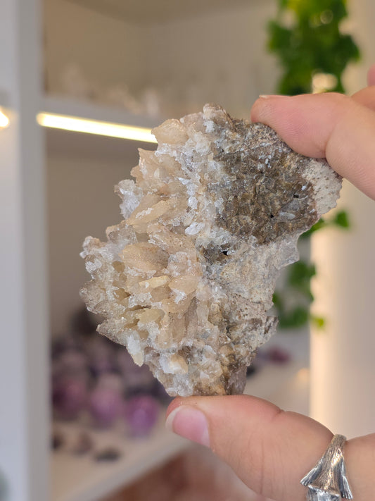 Selenite on Dogtooth Calcite from Santa Eulalia, Chihuahua, Mexico - I