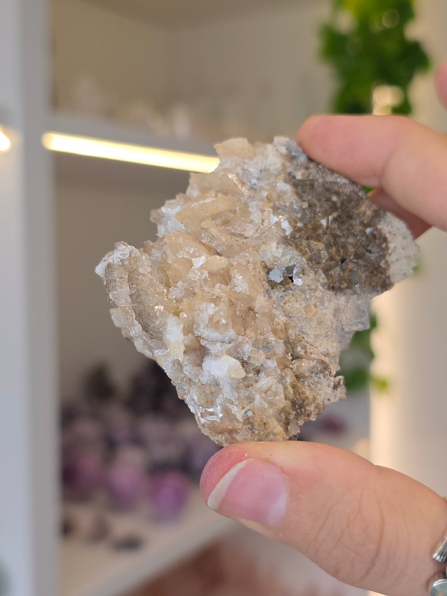 Selenite on Dogtooth Calcite from Santa Eulalia, Chihuahua, Mexico - I