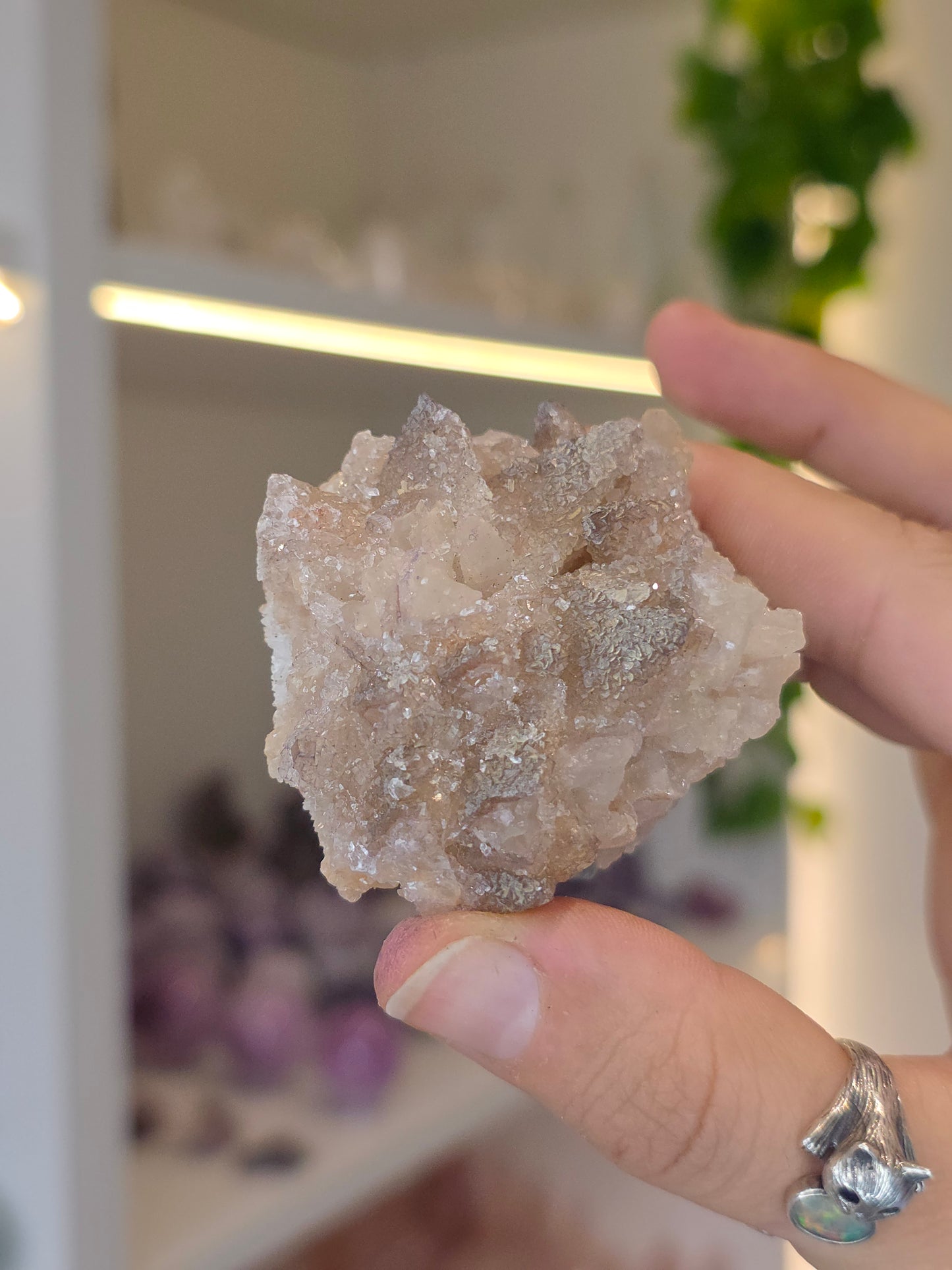 Selenite on Dogtooth Calcite from Santa Eulalia, Chihuahua, Mexico - J