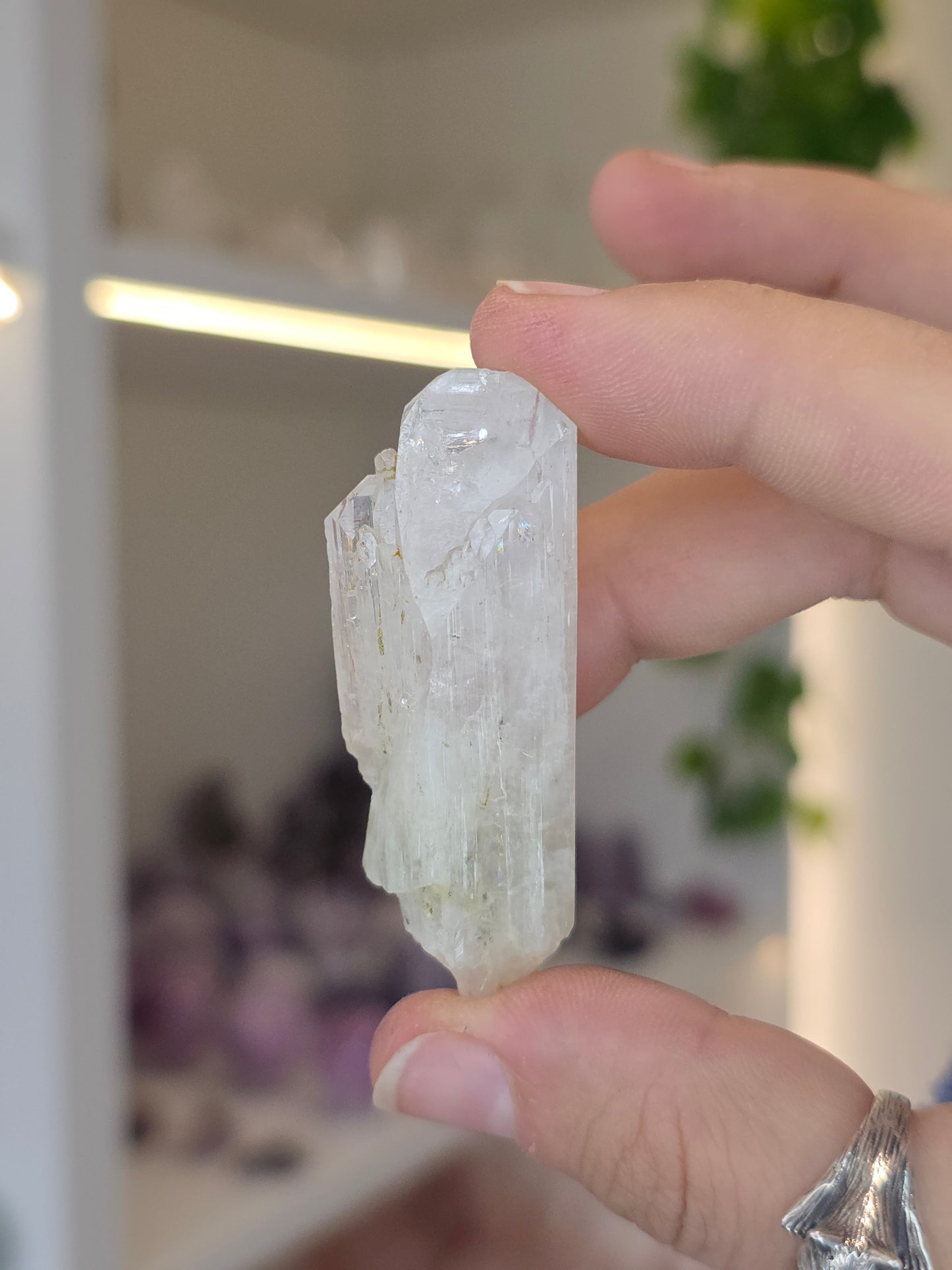 Danburites (some with Calcite) from the Aurora Mine, Charcas, San Luis Potosi, Mexico