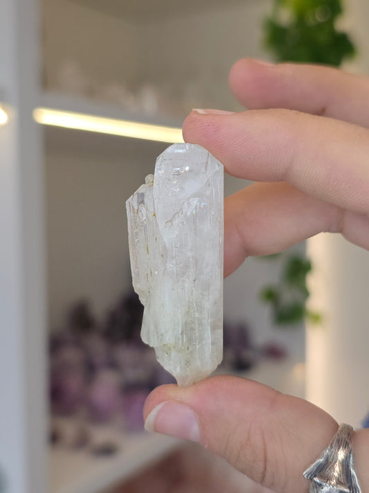 Danburites (some with Calcite) from the Aurora Mine, Charcas, San Luis Potosi, Mexico